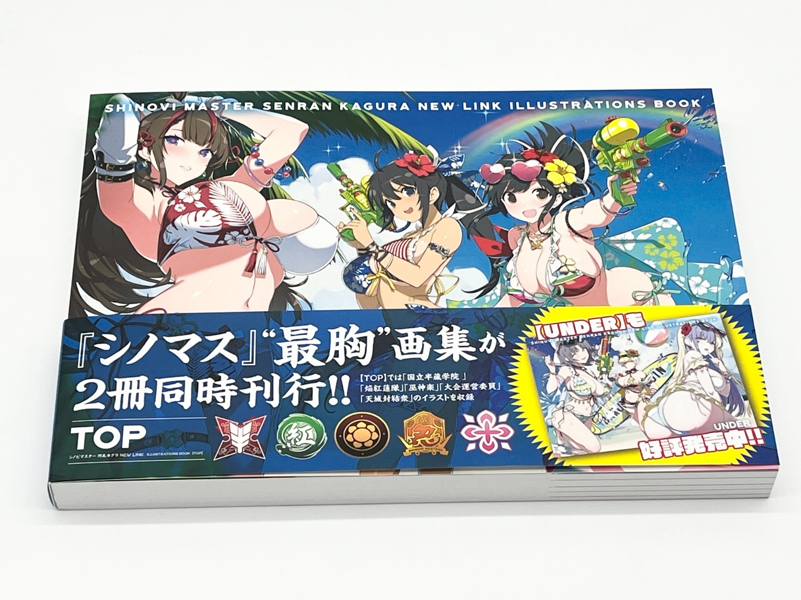 Shinobi Master Senran Kagura New Link Illustrations Book Vol 1-2 Japanese Text