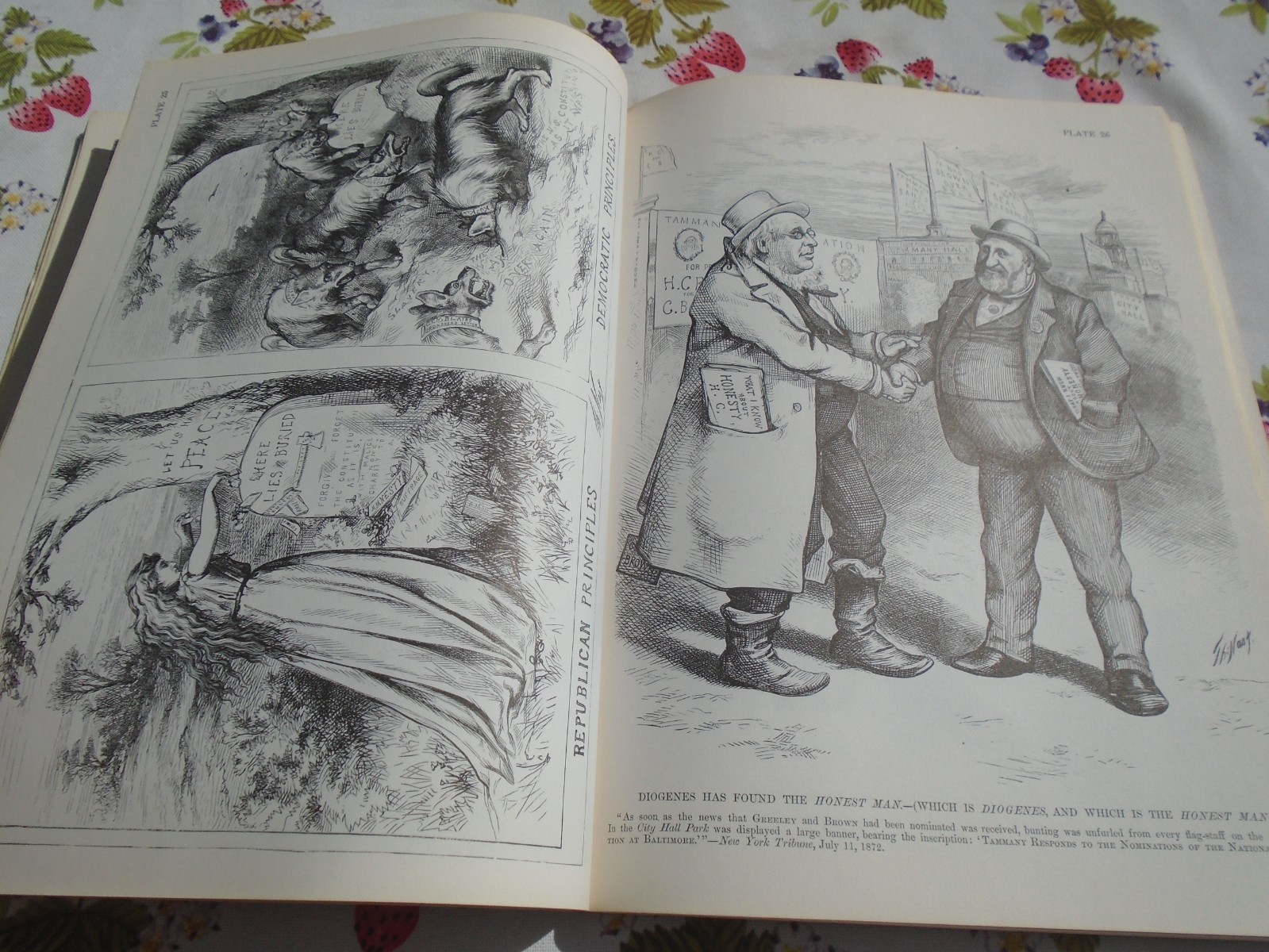 Thomas Nast: Cartoons and Illustrations By Thomas Nast Paperback