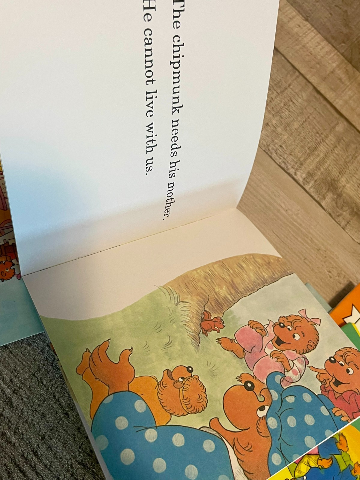 I Can Read Phonics Berenstain Bears (12) & Little Critter (12) 24 Books
