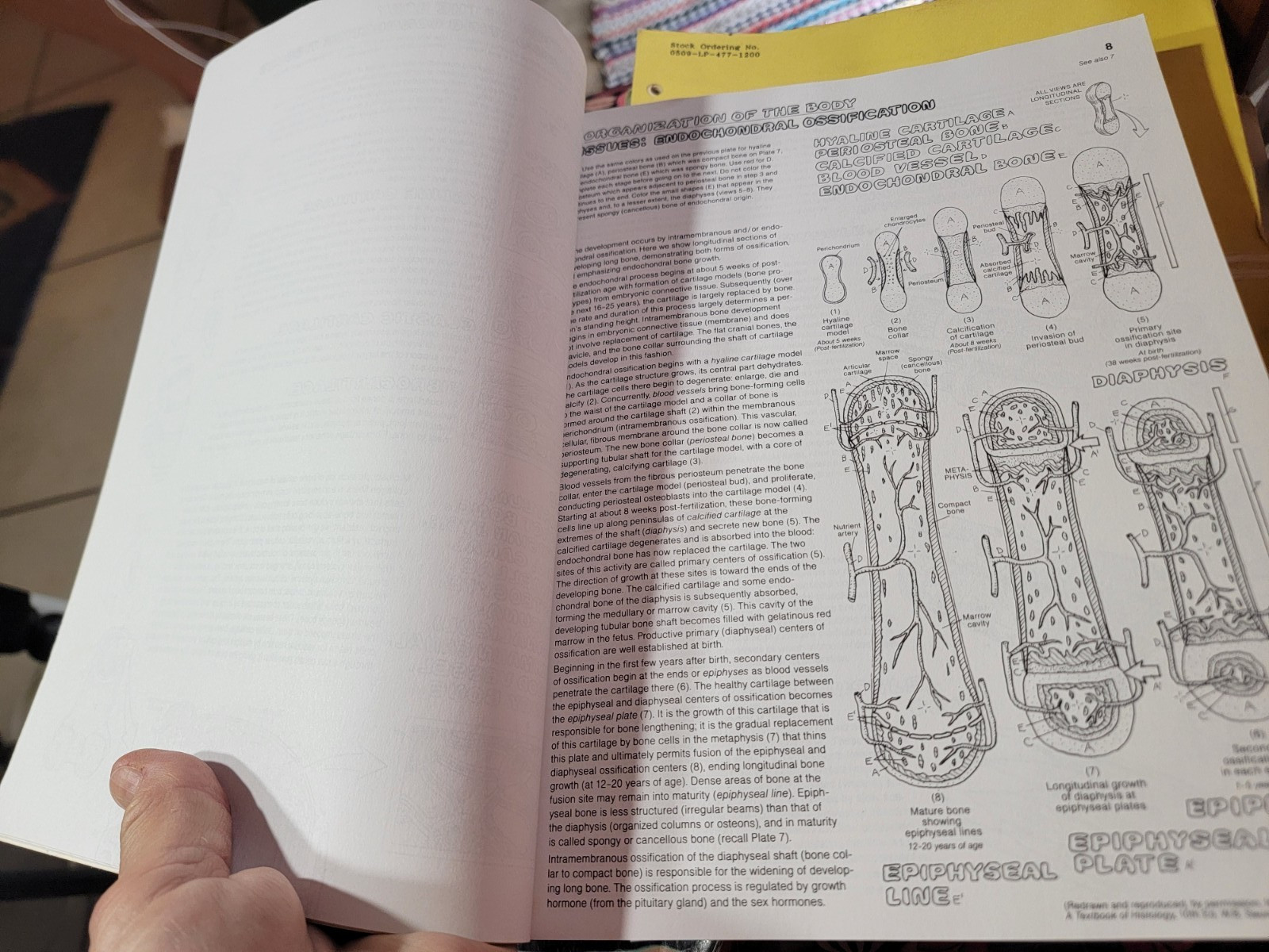 THE ANATOMY COLORING BOOK Kapit Medical Medicine Nurse Nursing Reference