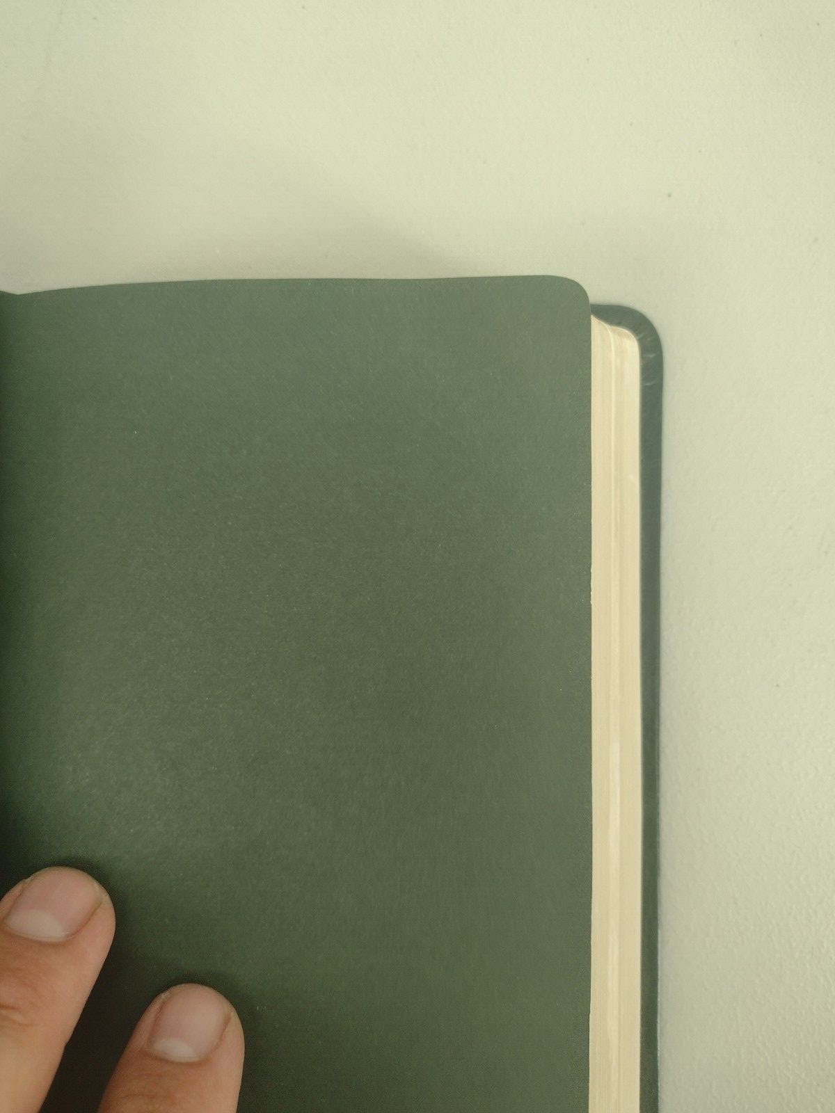 HCSB Soldier’s BIBLE 2012 Green Simulated Leather Holman