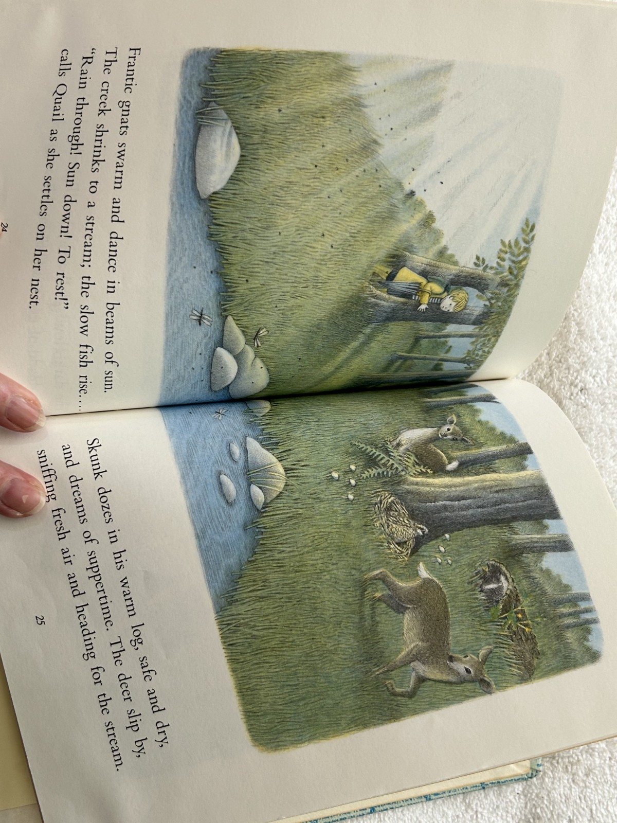 ALL WET ALL WET James Skofield ill Diane Stanley 1st 3rd 1984 signed illustrator