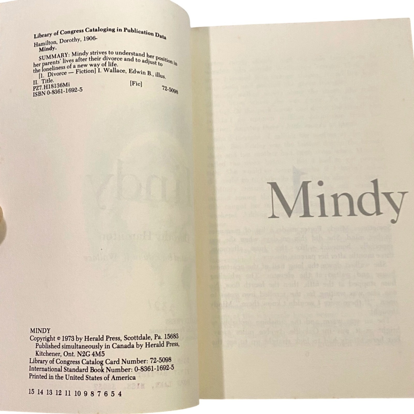 Mindy Vintage Paperback Dorothy Hamilton 1970s Divorce Growing Up Teen Girls