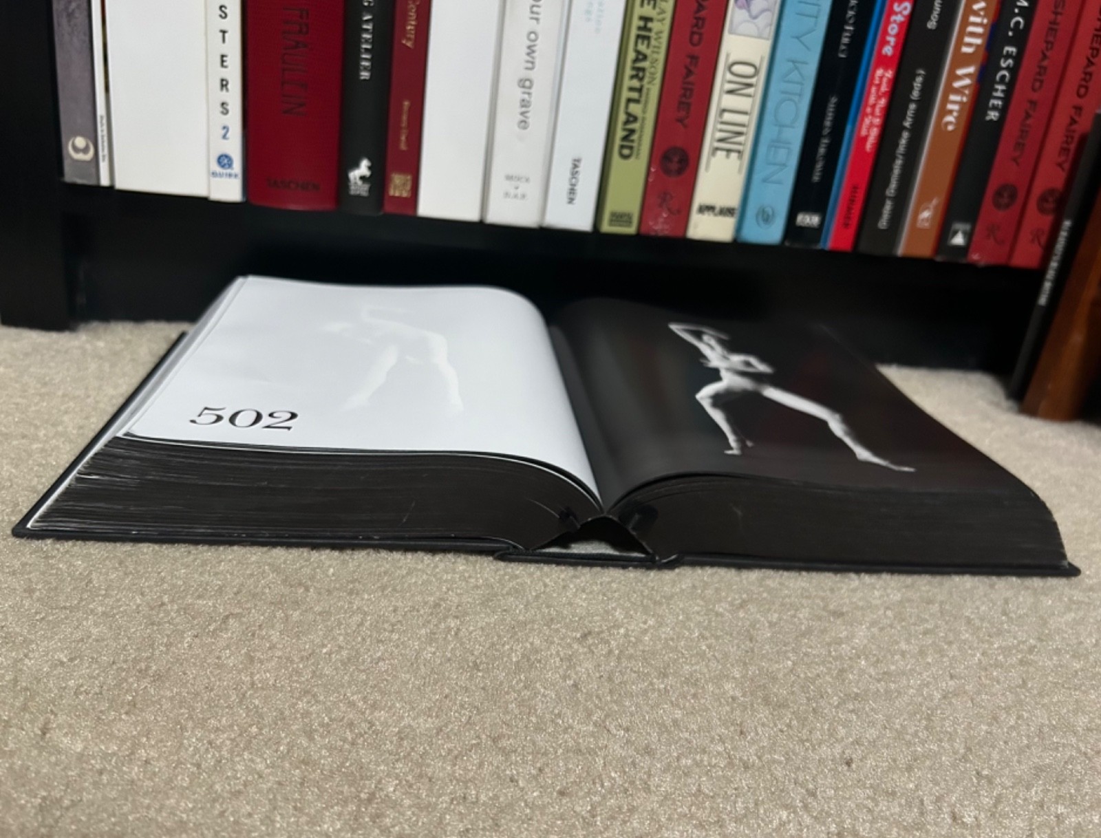 STUDY OF POSE hardcover 1,000 Poses PHOTO BOOK Coco Rocha Steven Sebring ballet