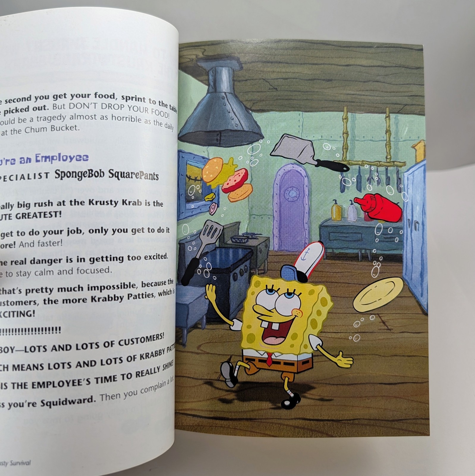 SpongeBob SquarePants Survival Guide! VTG 2002 Novel By David Lewman