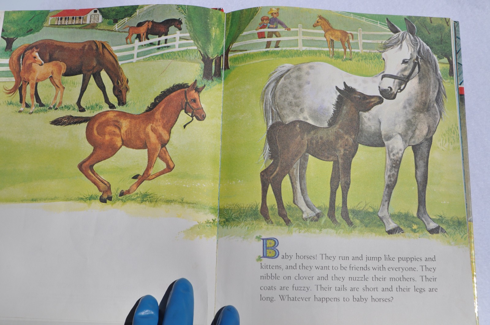 Horse Books For Kids: Horace, The Horse; Thunderhoof +vinyl record; Baby Horses