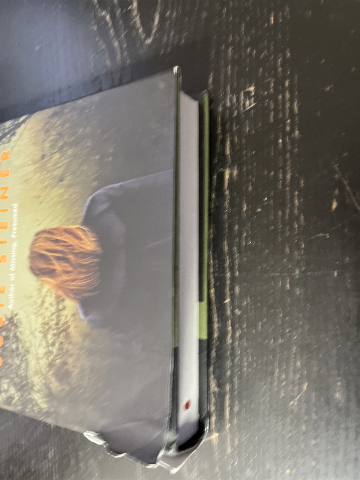 Manon Bradshaw Ser.: Persons Unknown : A Novel by Susie Steiner (2017,…