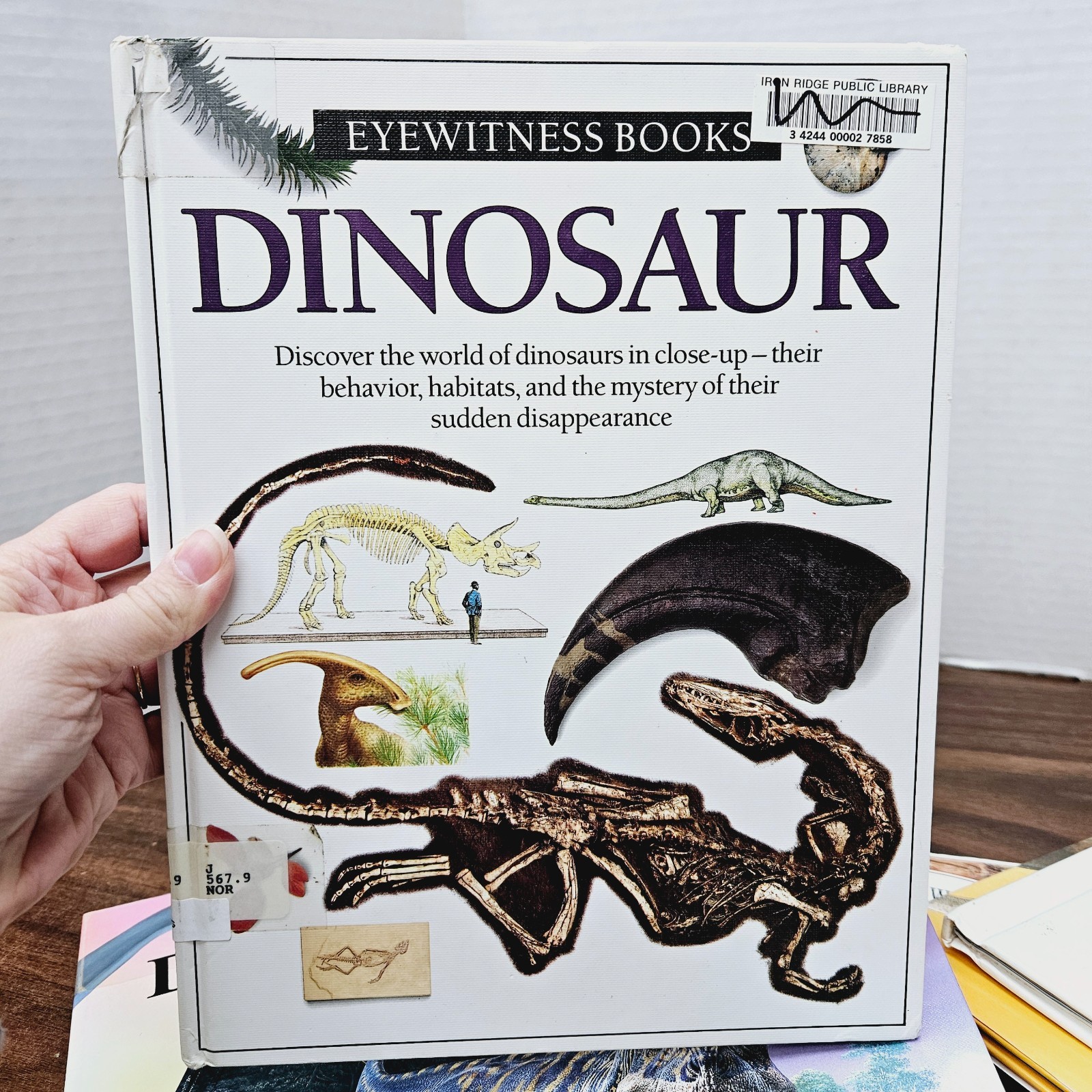 Kids Books About Dinosaurs Lot of 10 Homeschool Classroom Library Eyewitness