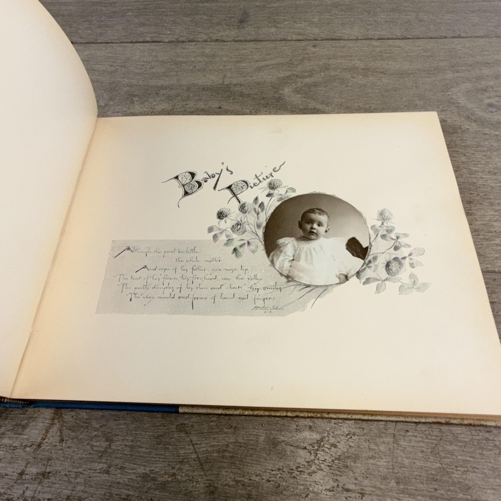 Vintage 1897 Baby’s Kingdom Annie F. Cox Baby Memory Book Hardcover Boston MA