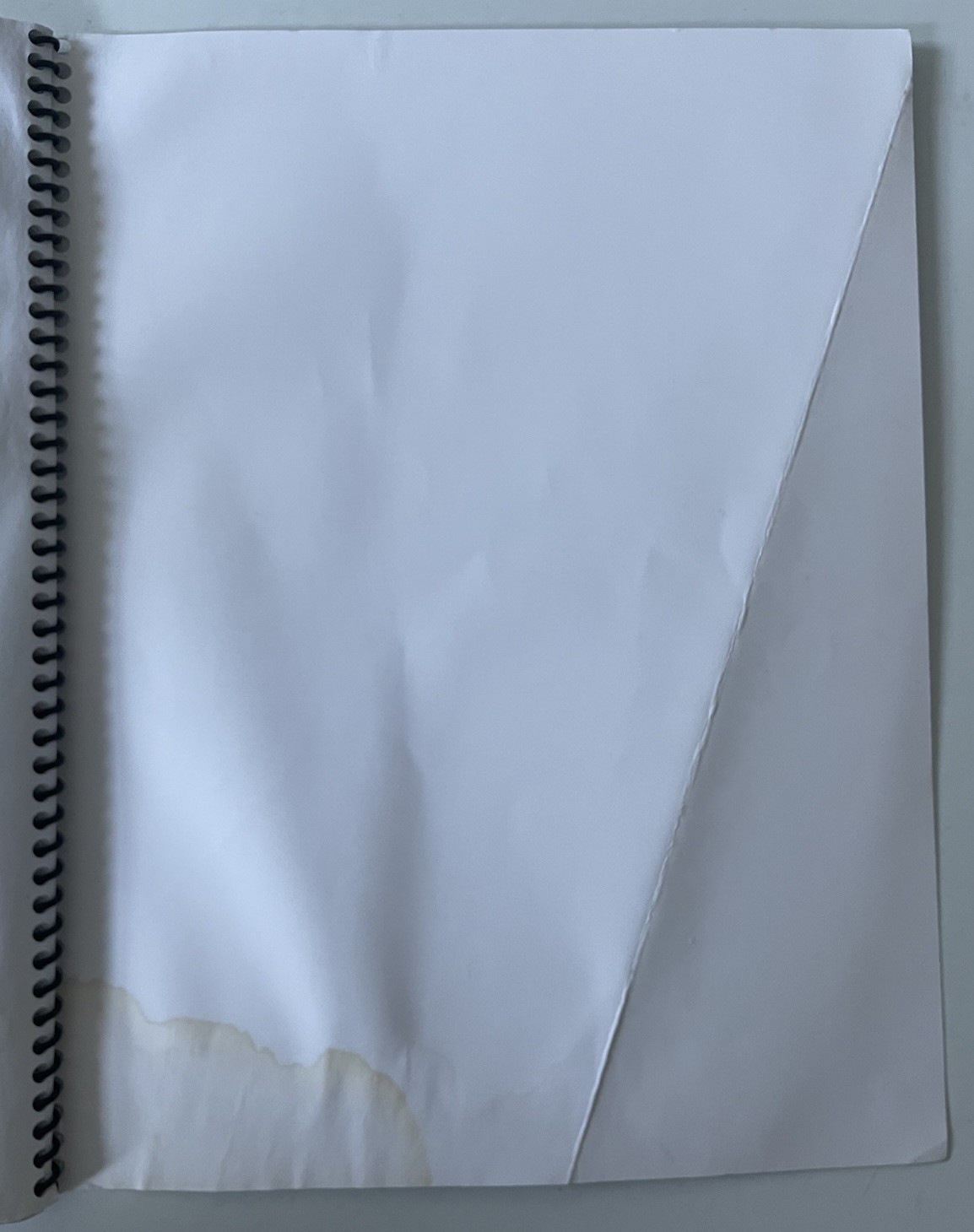 USA 3000 Airlines Flight Deck Study Guide 2005 Commercial Airliner Training Book