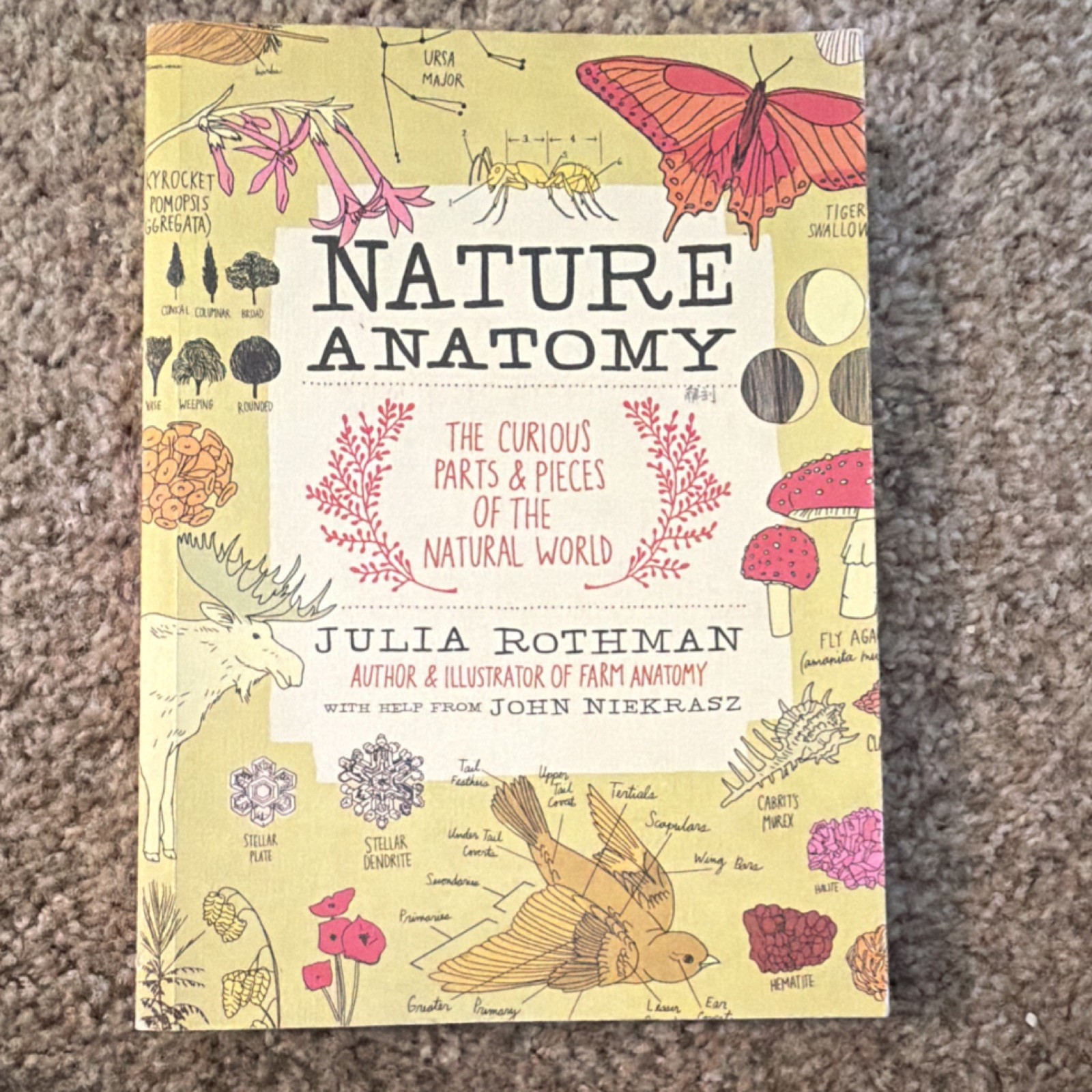 Julia Rothman Nature Anatomy Curious Parts Natural World Trade Paperback