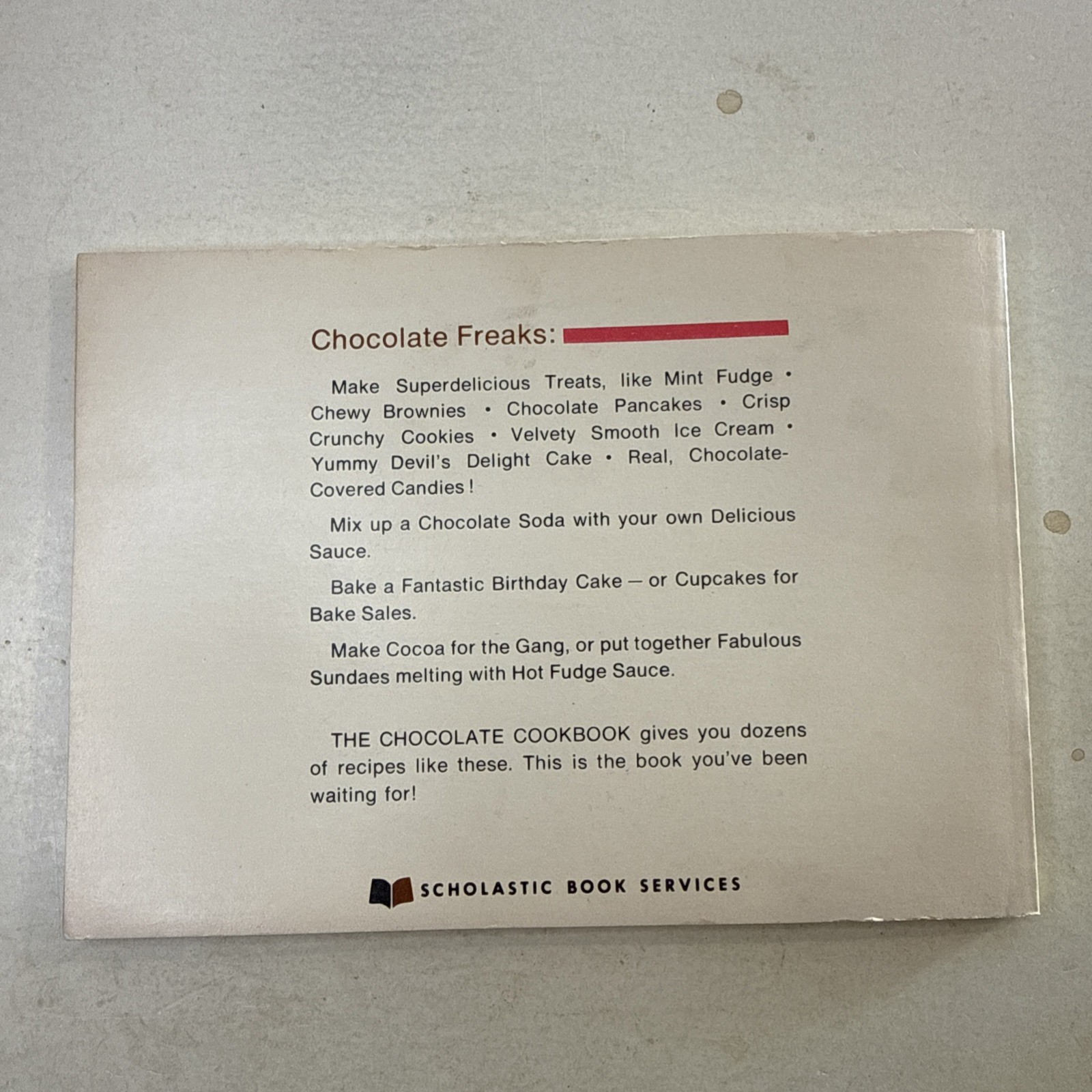 Chocolate Cookbook Vintage 1977 Scholastic Book Juvenile Boy Girl Elementary