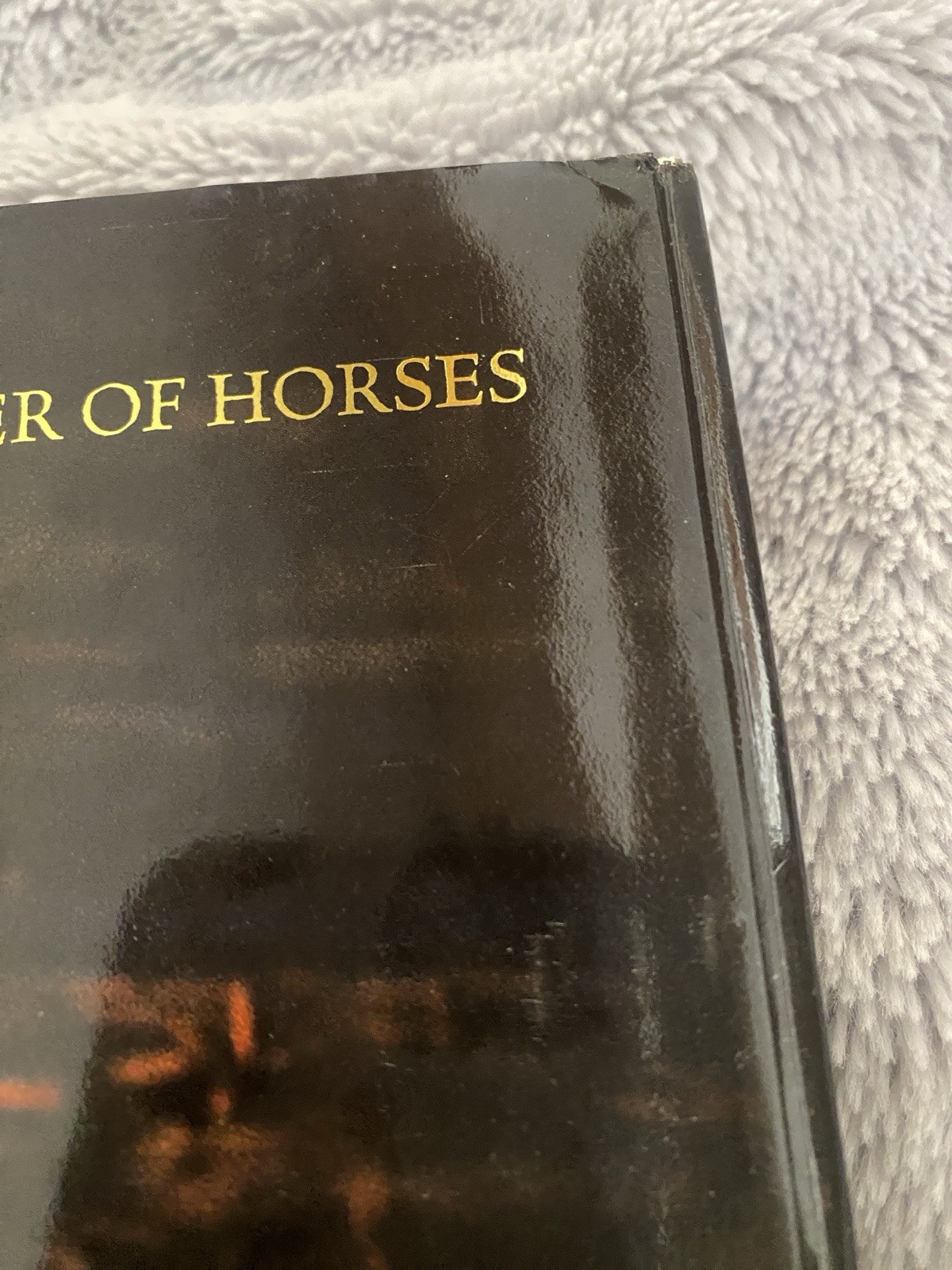 Vavra’s Vision – Equine Images – 2007 Hardcover – SIGNED/Inscribed – HC DJ