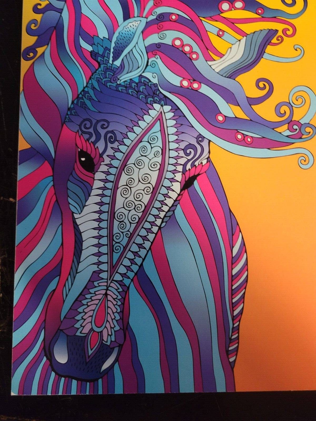 MAGNIFICENT CREATURES Vol 13 Adult Coloring Book by TOPIX MEDIA – 47 PRINTS