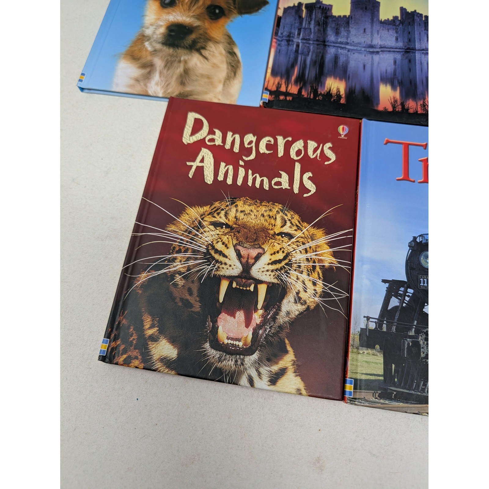 Usborne Beginners Books Lot of 8 Hardcover Dinosaurs Animals Astronomy Trains
