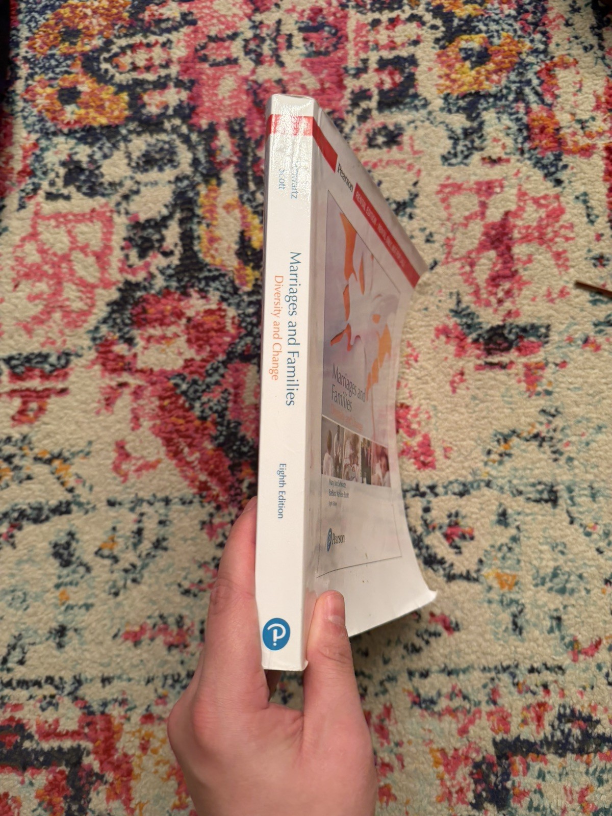 Marriages and Families: Diversity and Change [RENTAL EDITION]