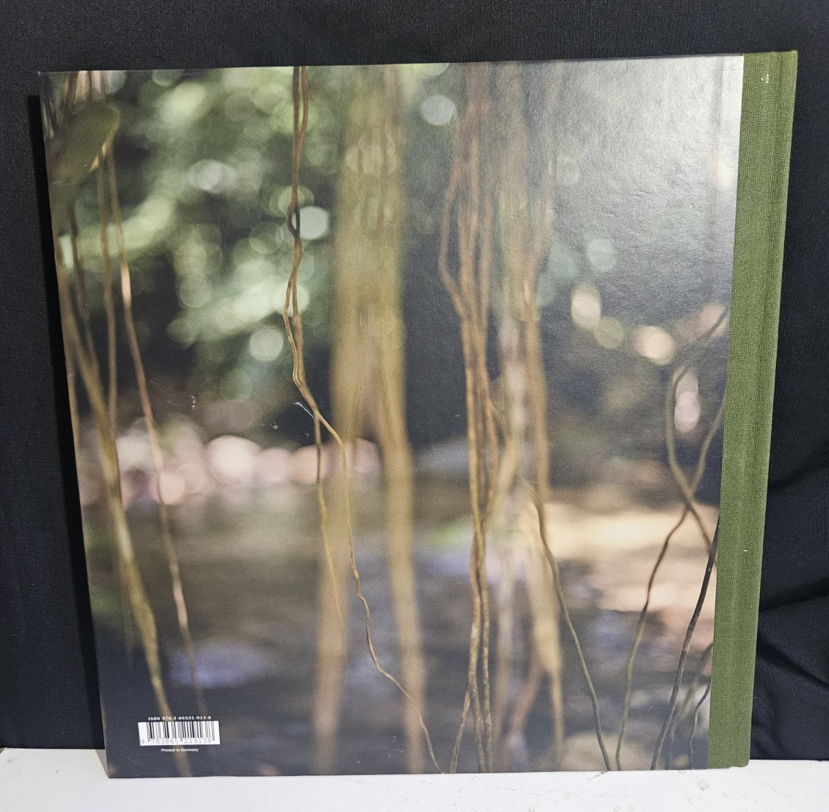 MONA KUHN: NATIVE By Shelley Rice & Wayne Andersen – Hardcover – VG –