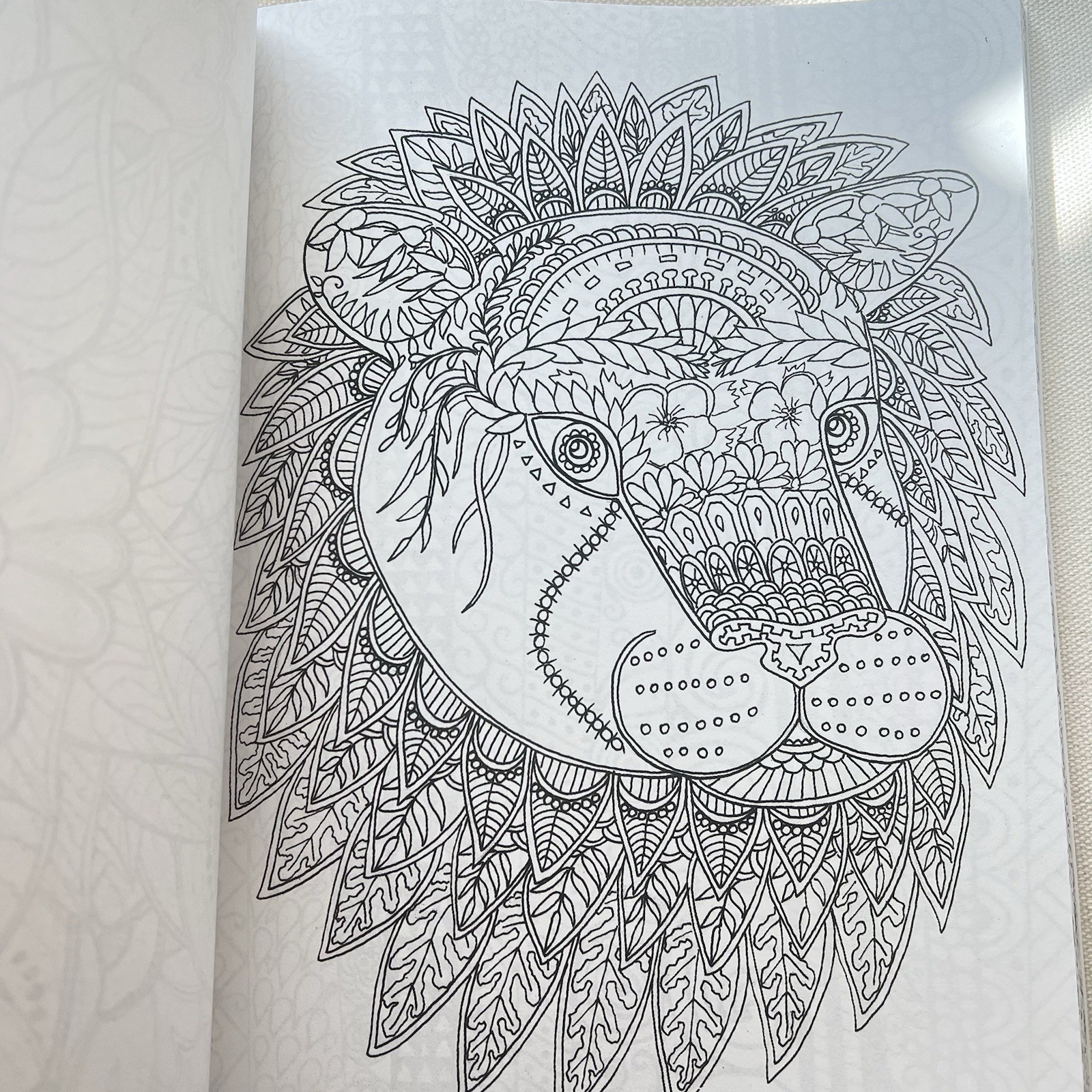 Color Your World:  Relaxing Adult Coloring Book W/ Easy Tear-Out Pages NEW