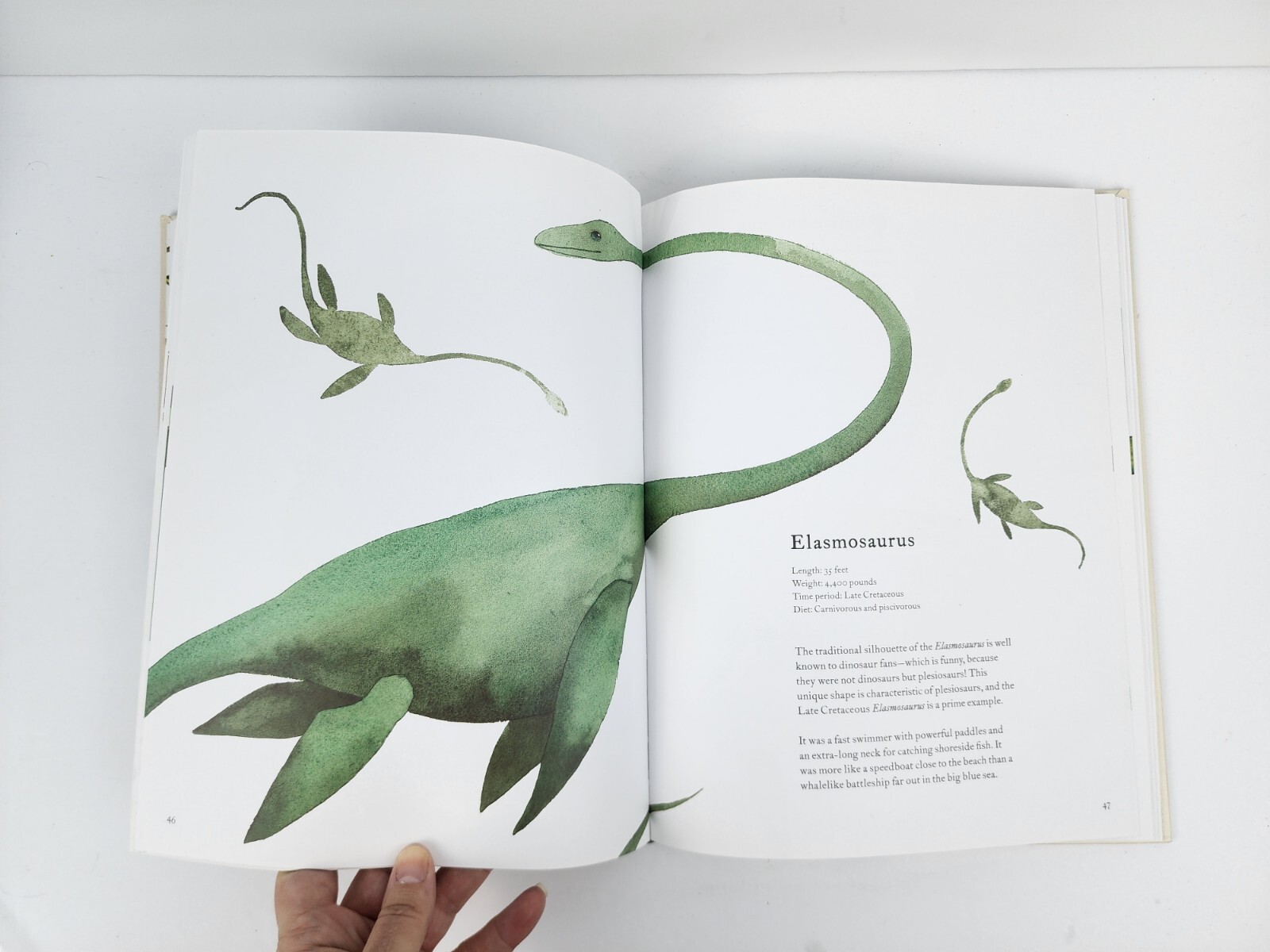 Dinosaurs: and Other Prehistoric Creatures by Sewell, Matt Book 2017 Free Ship