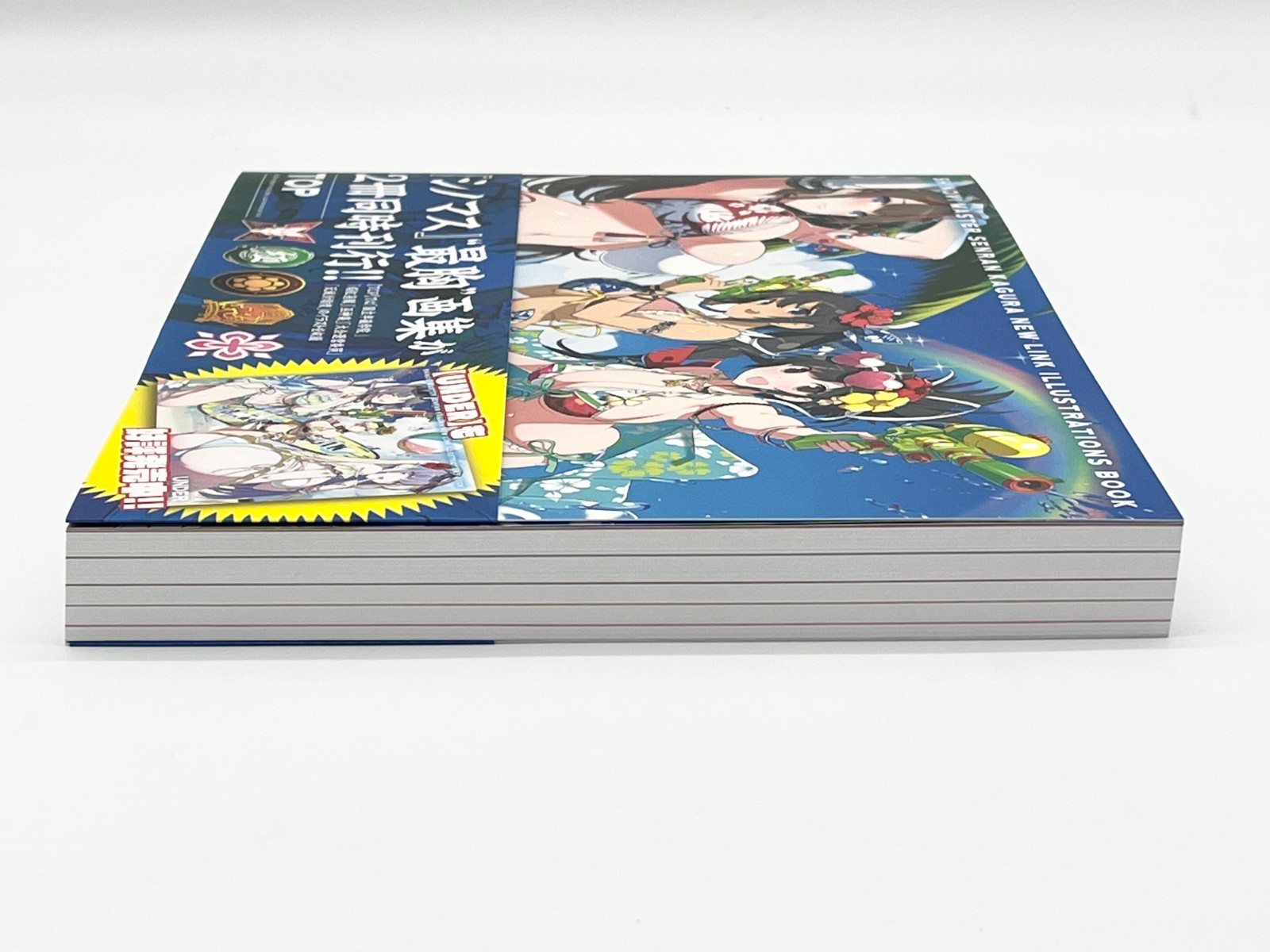Shinobi Master Senran Kagura New Link Illustrations Book Vol 1-2 Japanese Text