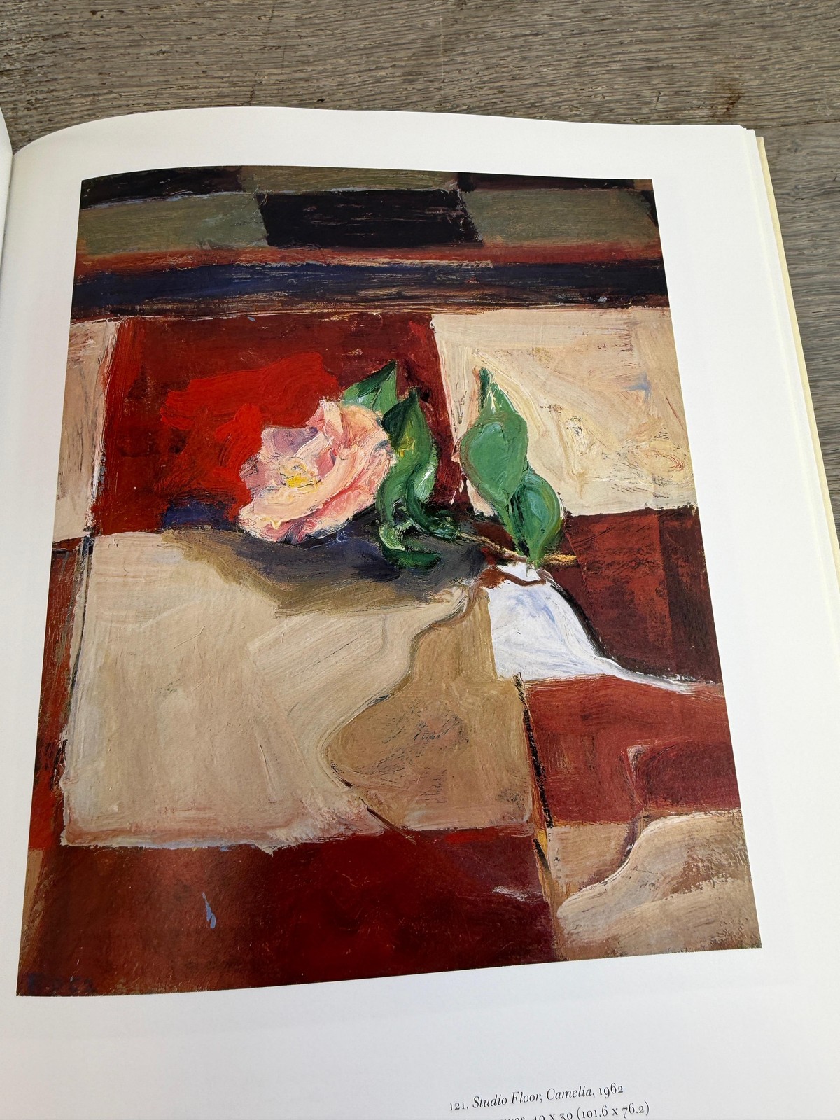 Vintage 1997 The Art Of Richard Diebenkorn Livingston HC DJ Whitney Illus USA