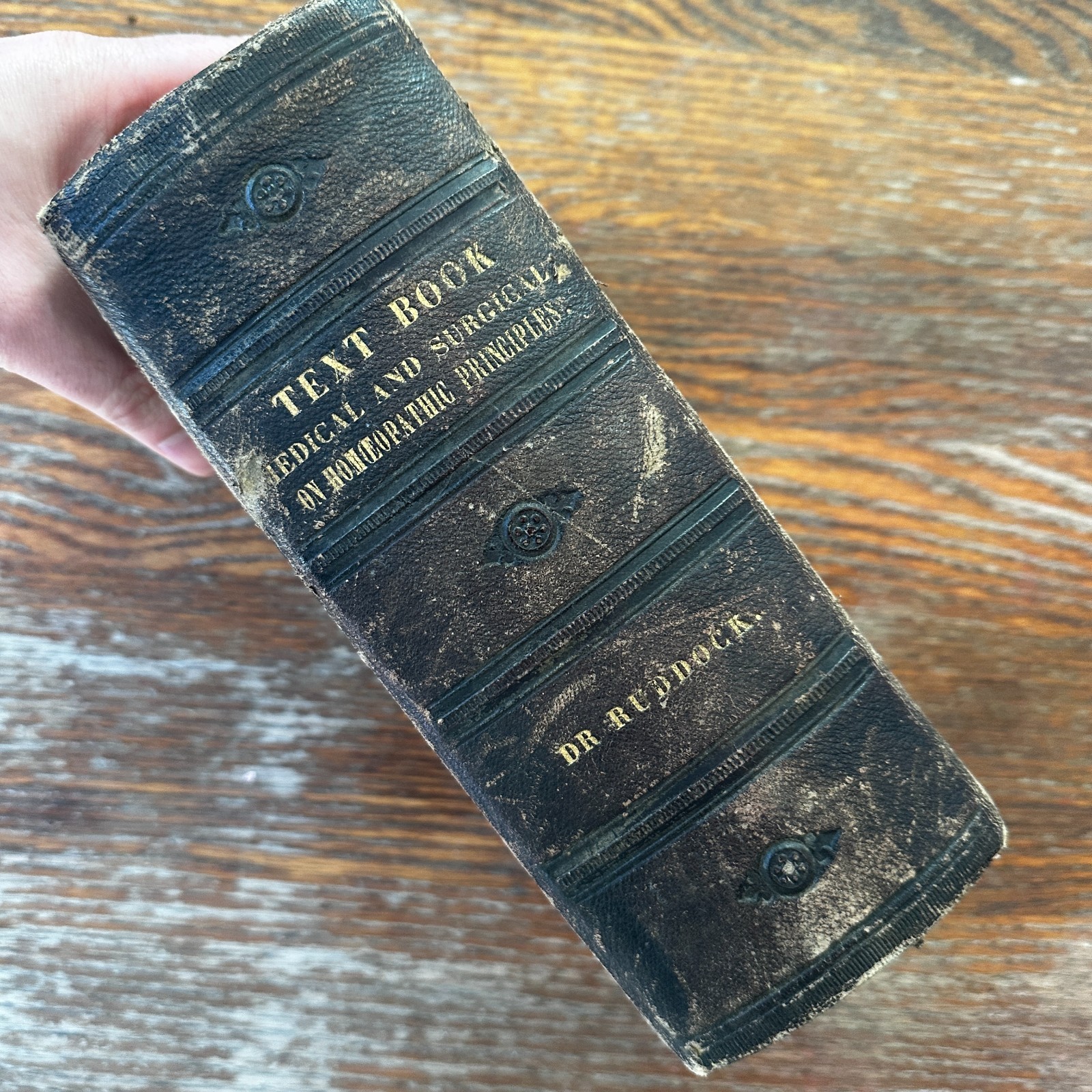 Text Book of Modern Medicine and Surgery On Homeopathic Principles HC 1876