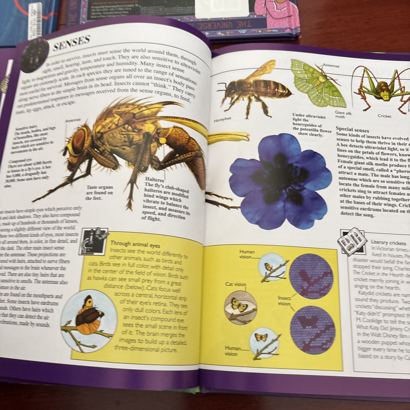 World of Wow, Set Of 4 Books, Body, Insects, Universe, Planets