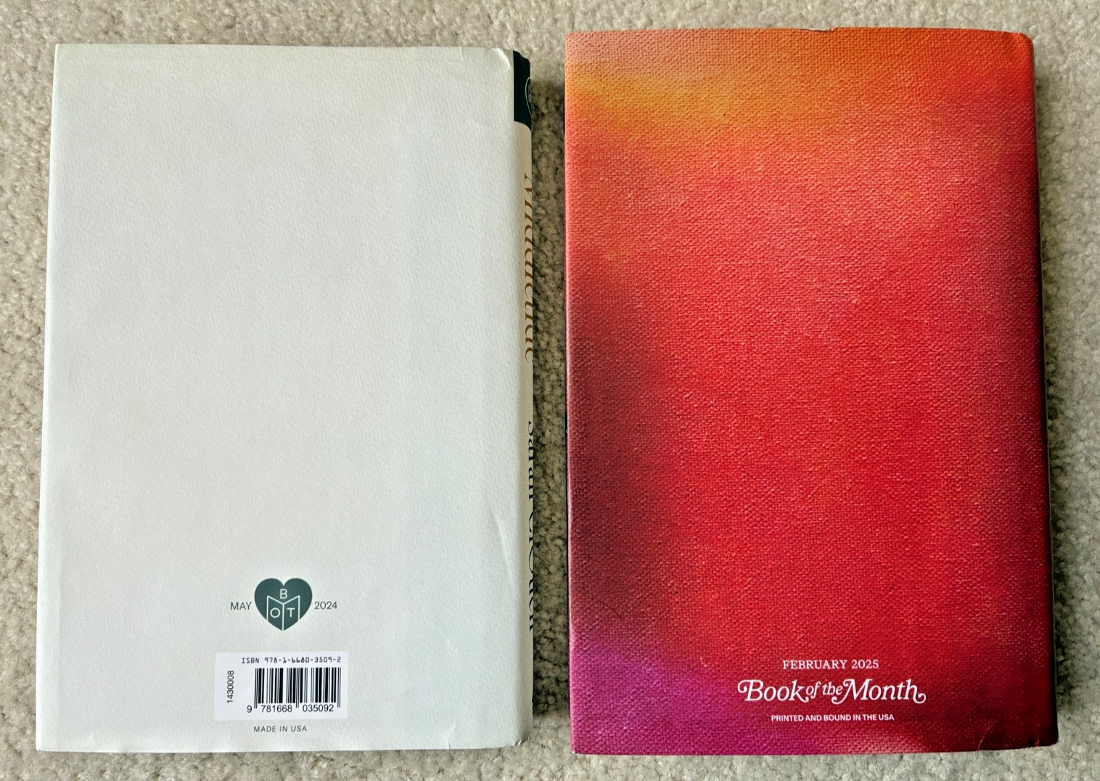 Lot 2 BOMC: Middletide by Sarah Crouch + Famous Last Words by Gillian McAllister