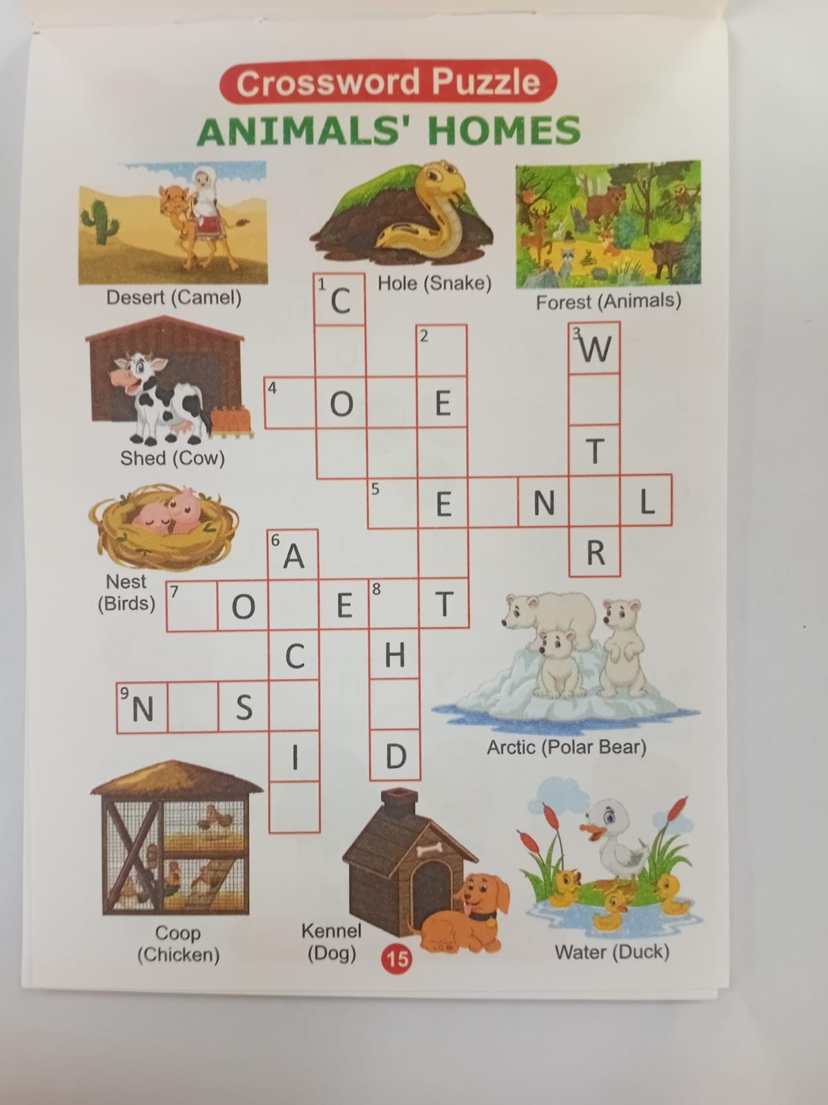learning books for kids Crossword Puzzle Book Spelling Learning Fun 60 Puzzles