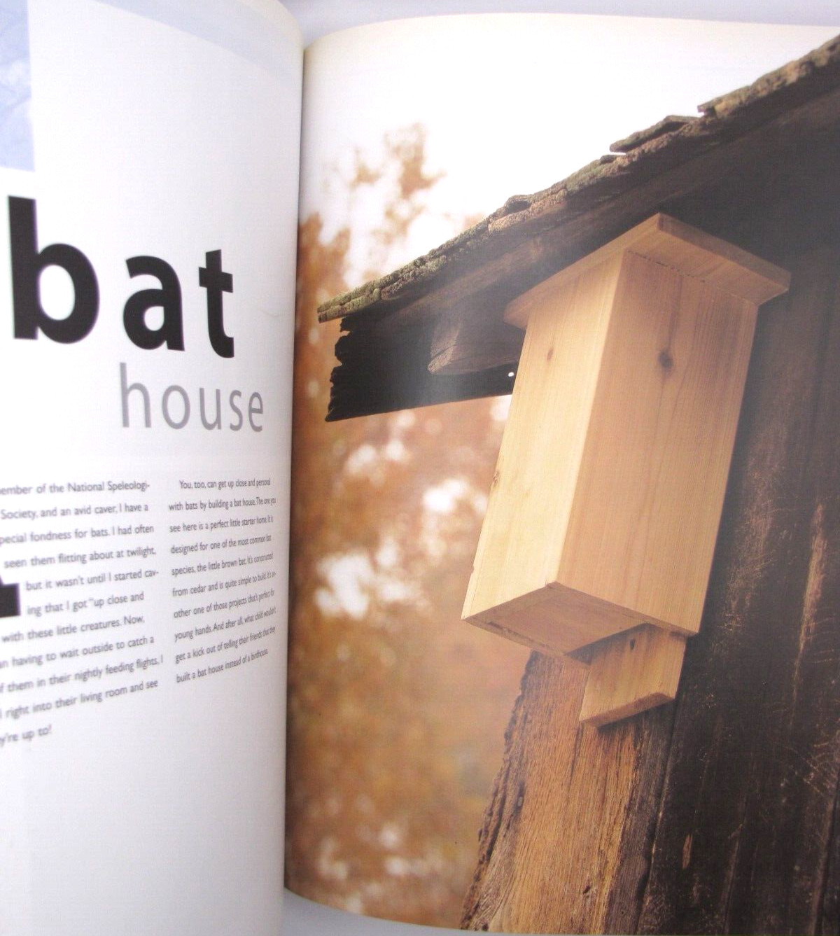 Best Birdhouses for Your Backyard Popular Woodworking Project Book Full Color