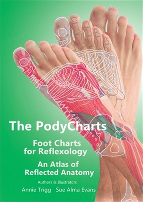 The PodyCharts Foot Charts for Reflexology: An atlas of reflected anatomy (Paper