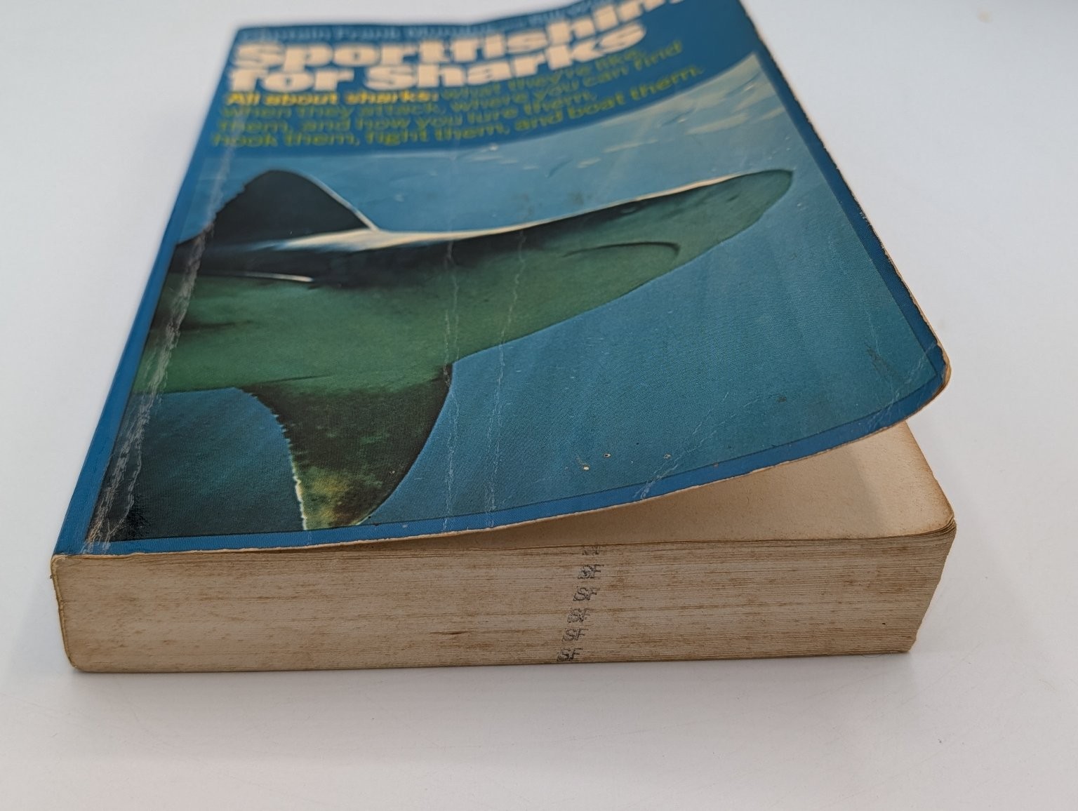Sportfishing for Sharks Mundus Wisner 1976 Paperback Fishing Marine Life
