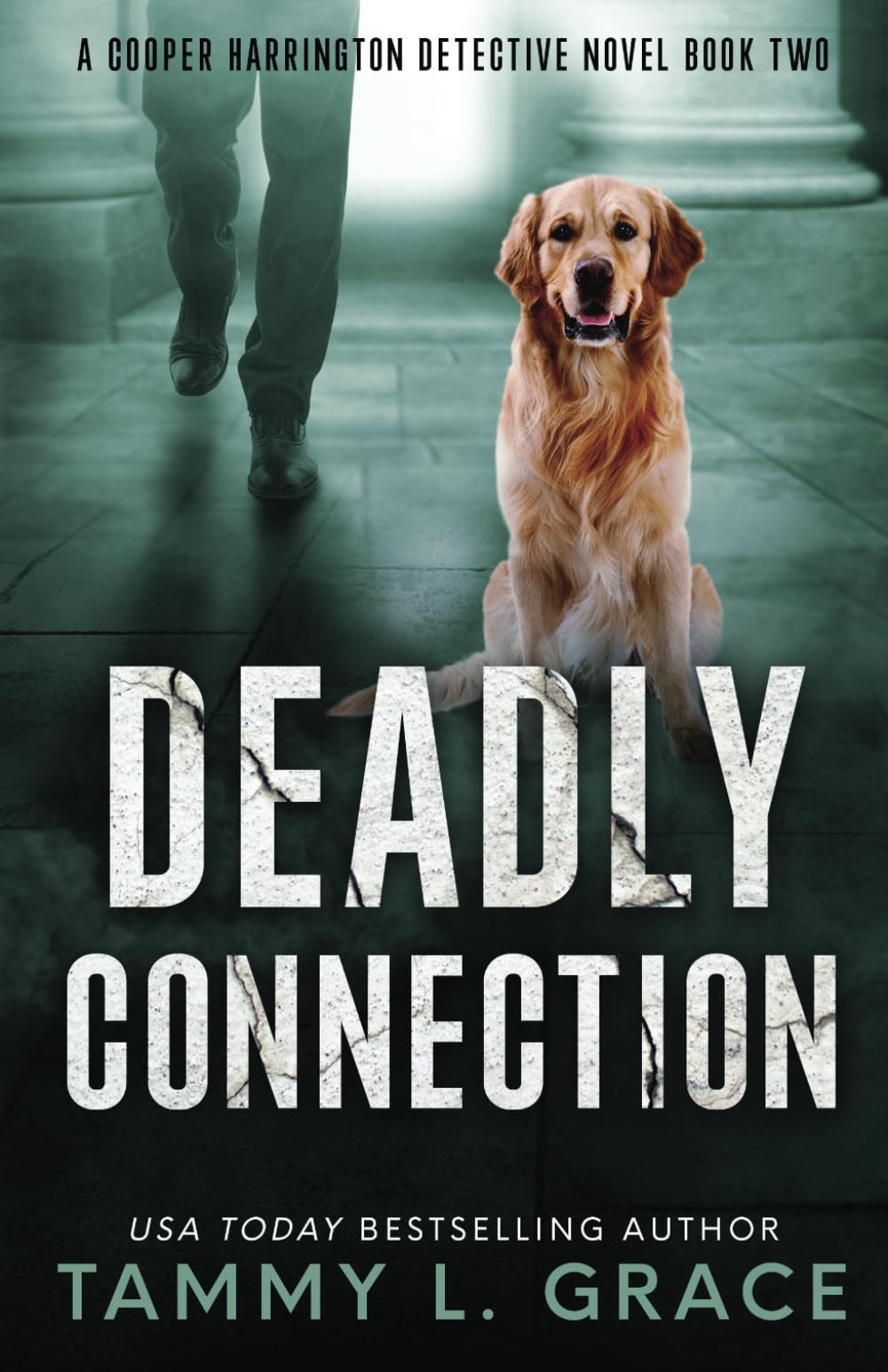 Deadly Connection: A Cooper Harrington Detective Novel by Grace