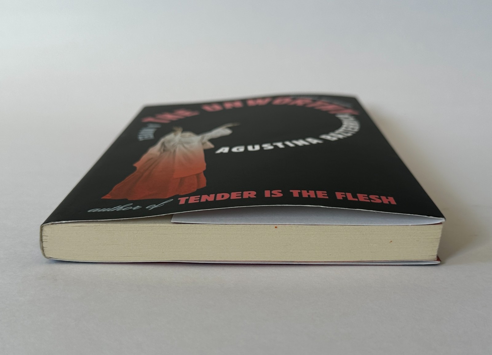 AGUSTINA BAZTERRICA The Unworthy | 2025 Scribner Trade Paperback