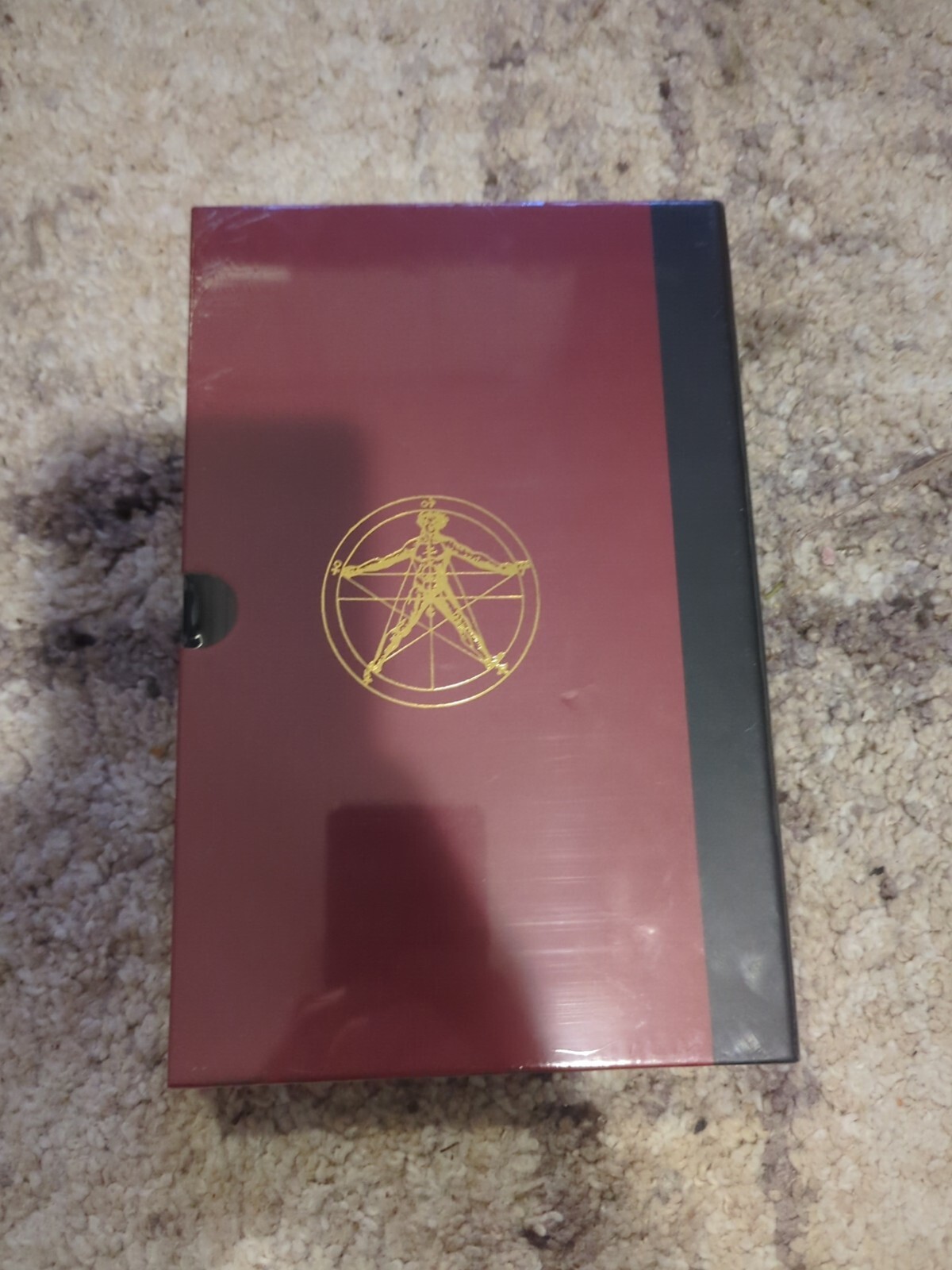 The False Hierarchy of Demons by Weyer Zasadzinska (SEALED)
