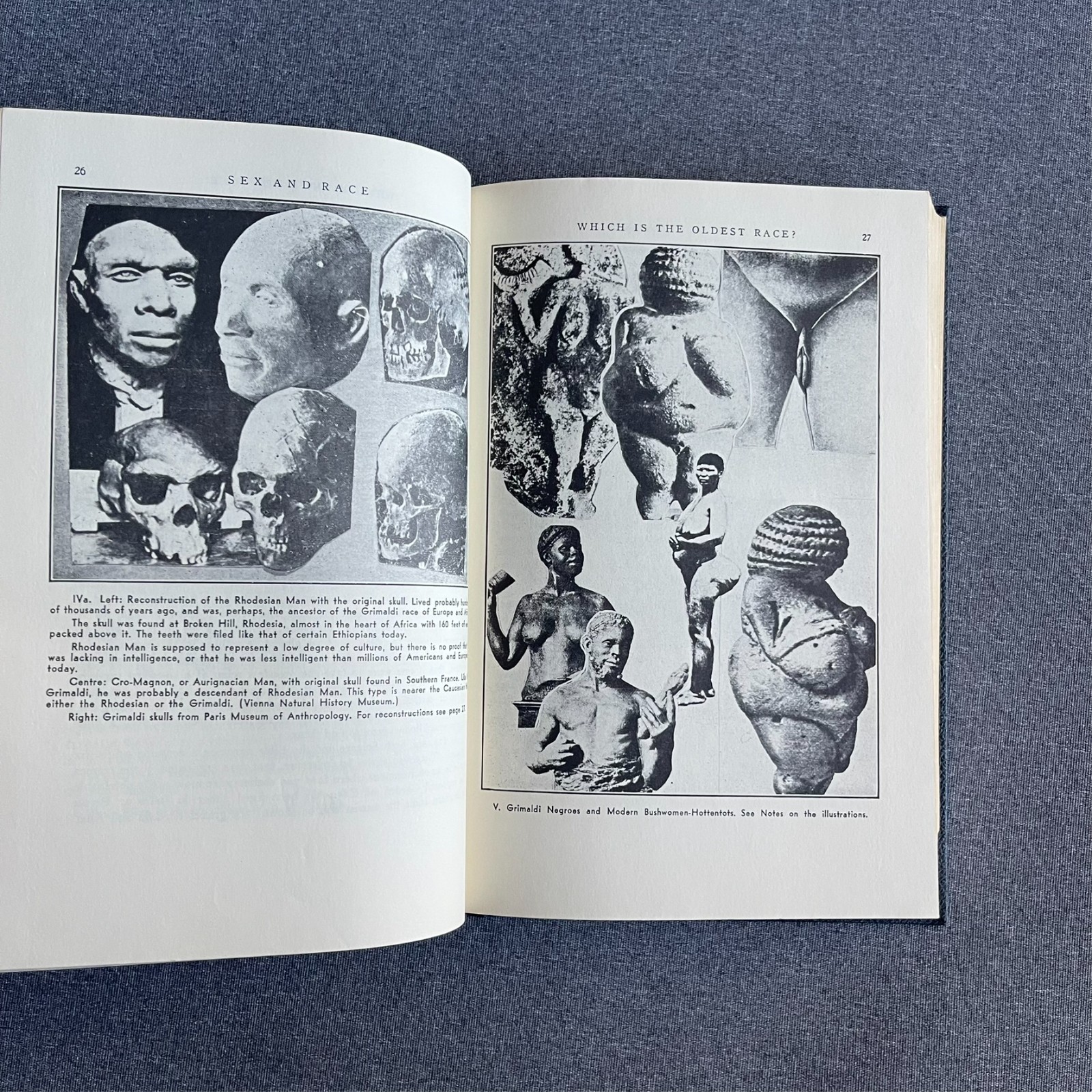 Sex and Race, Volume 1: Negro-Caucasian Mixing in All Ages and All Lands
