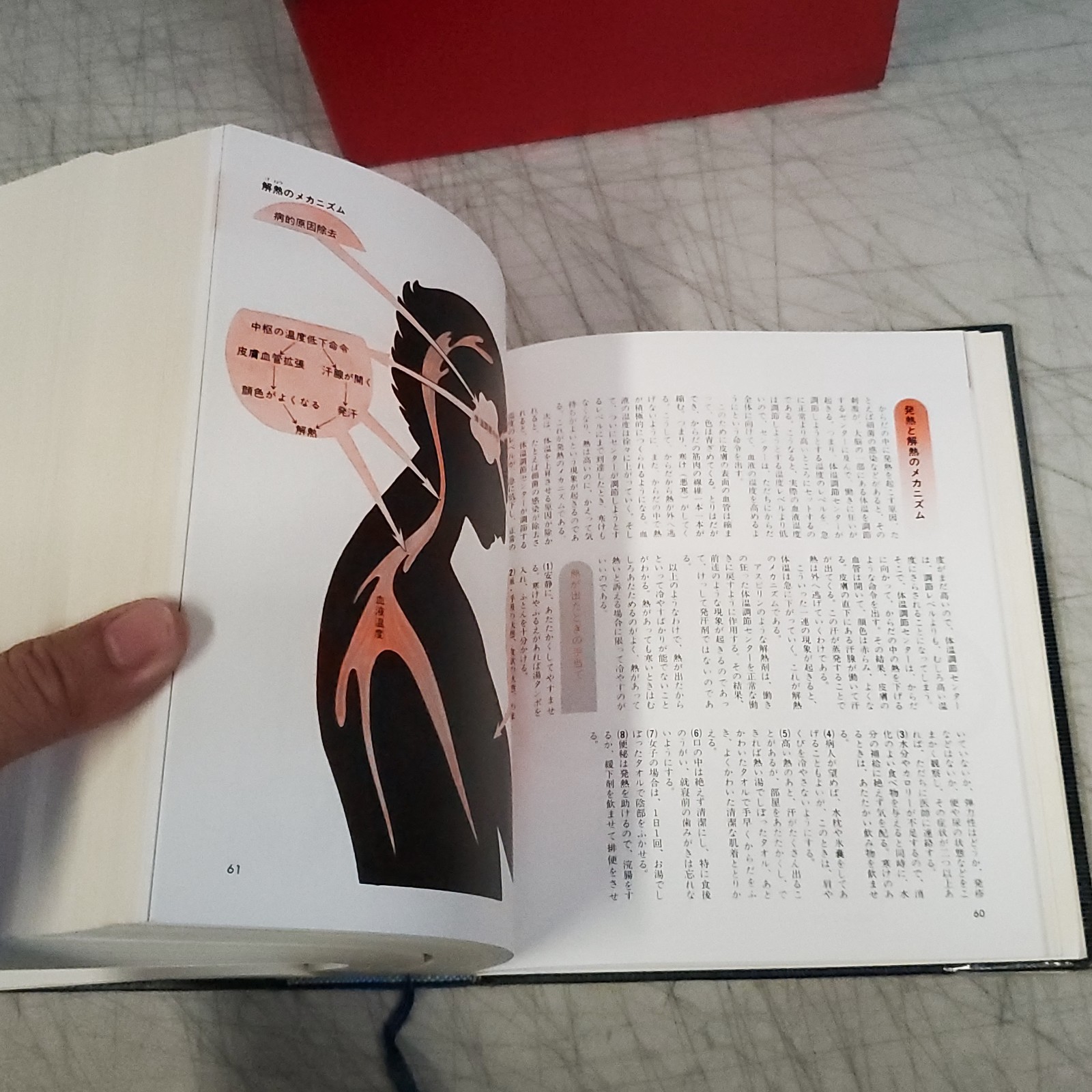 Vintage Japanese Modern Family Medicine Encyclopedia Shufunotomosha (家庭医学 百科)