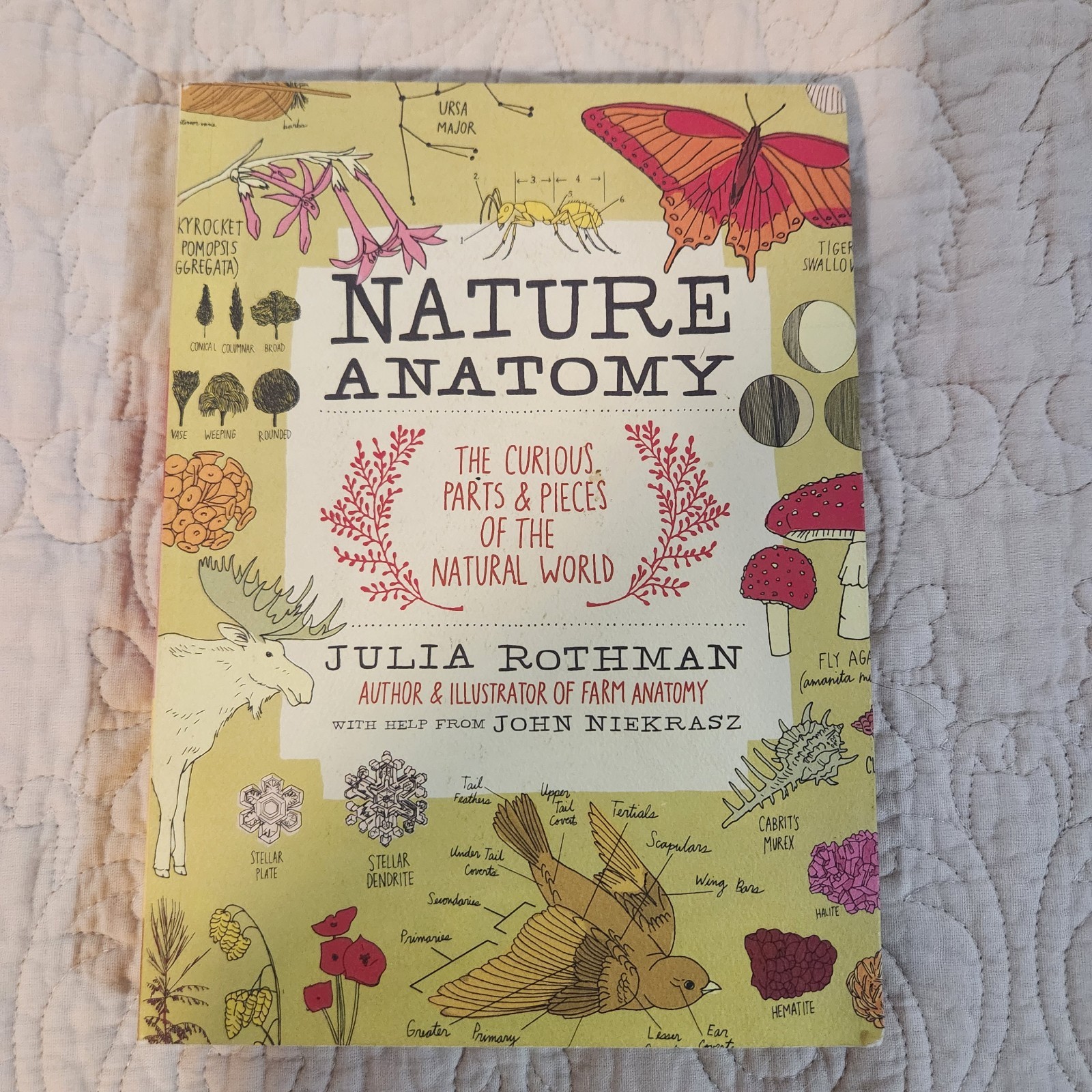 Nature Anatomy, Julia Rothman, Textbook and Notebook, Brandon New!!