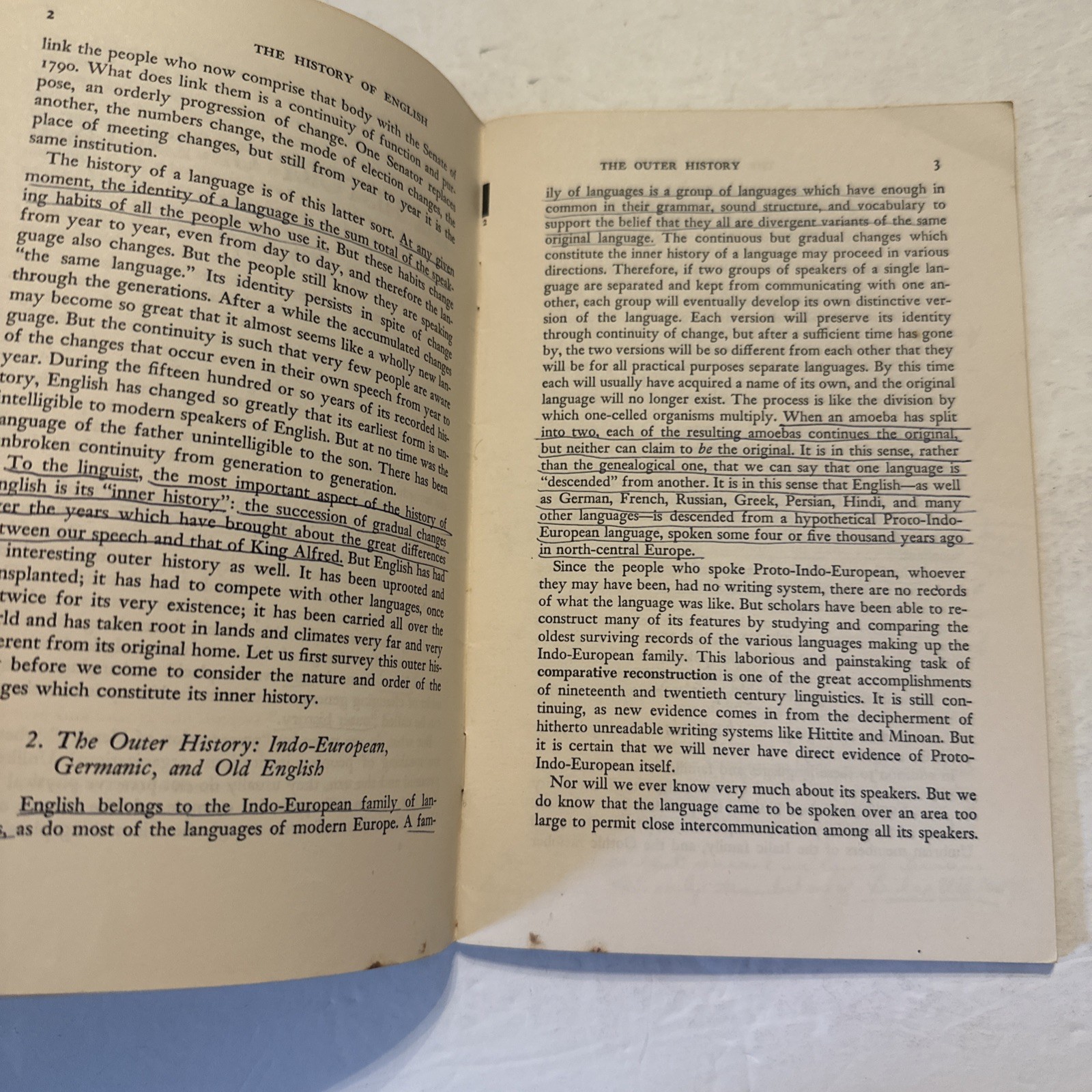 The History of English by W Nelson Francis 1963 W W Norton Paperback Pamphlet