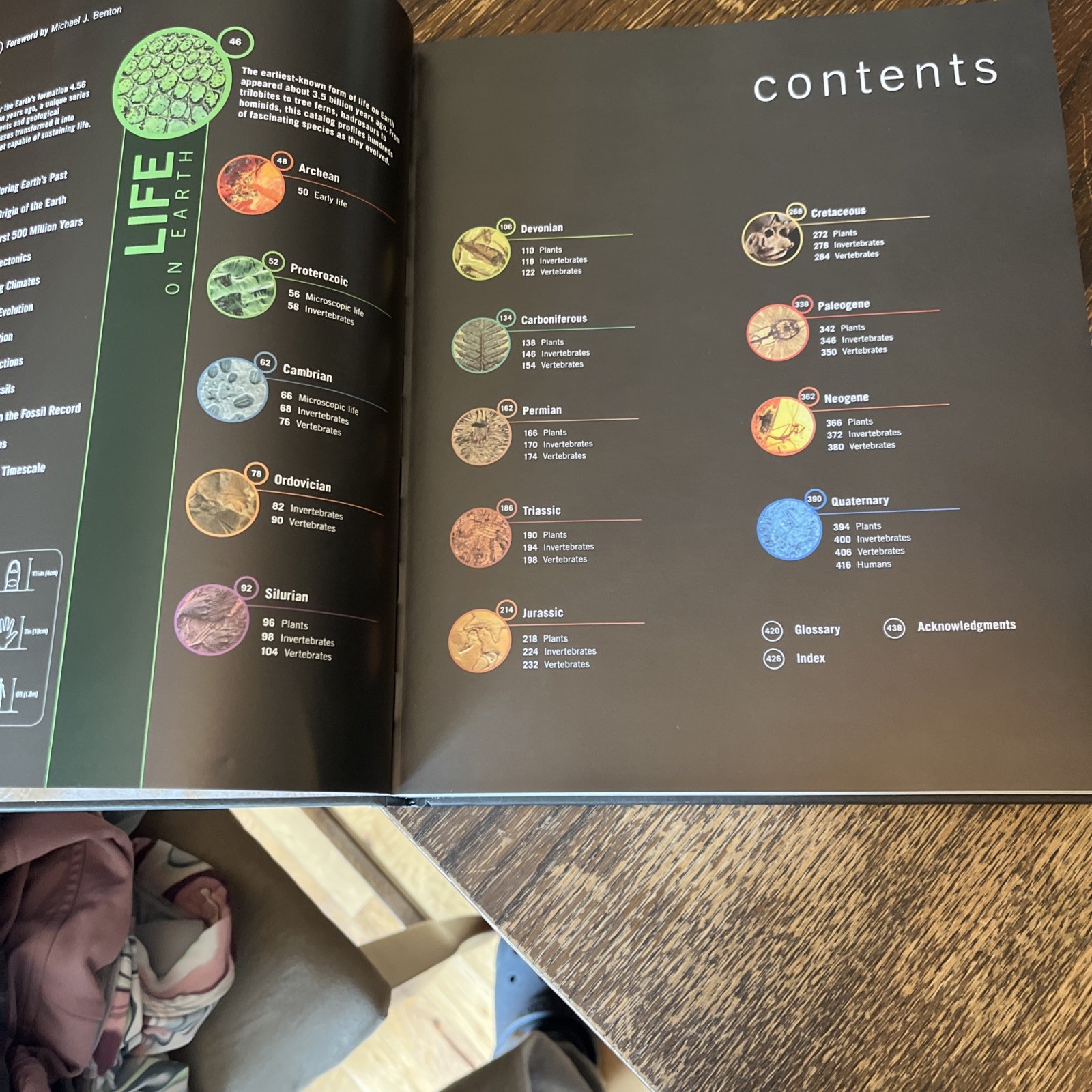 Dinosaurs and Prehistoric Life: The Definitive Visual – Hardcover, by DK – VG