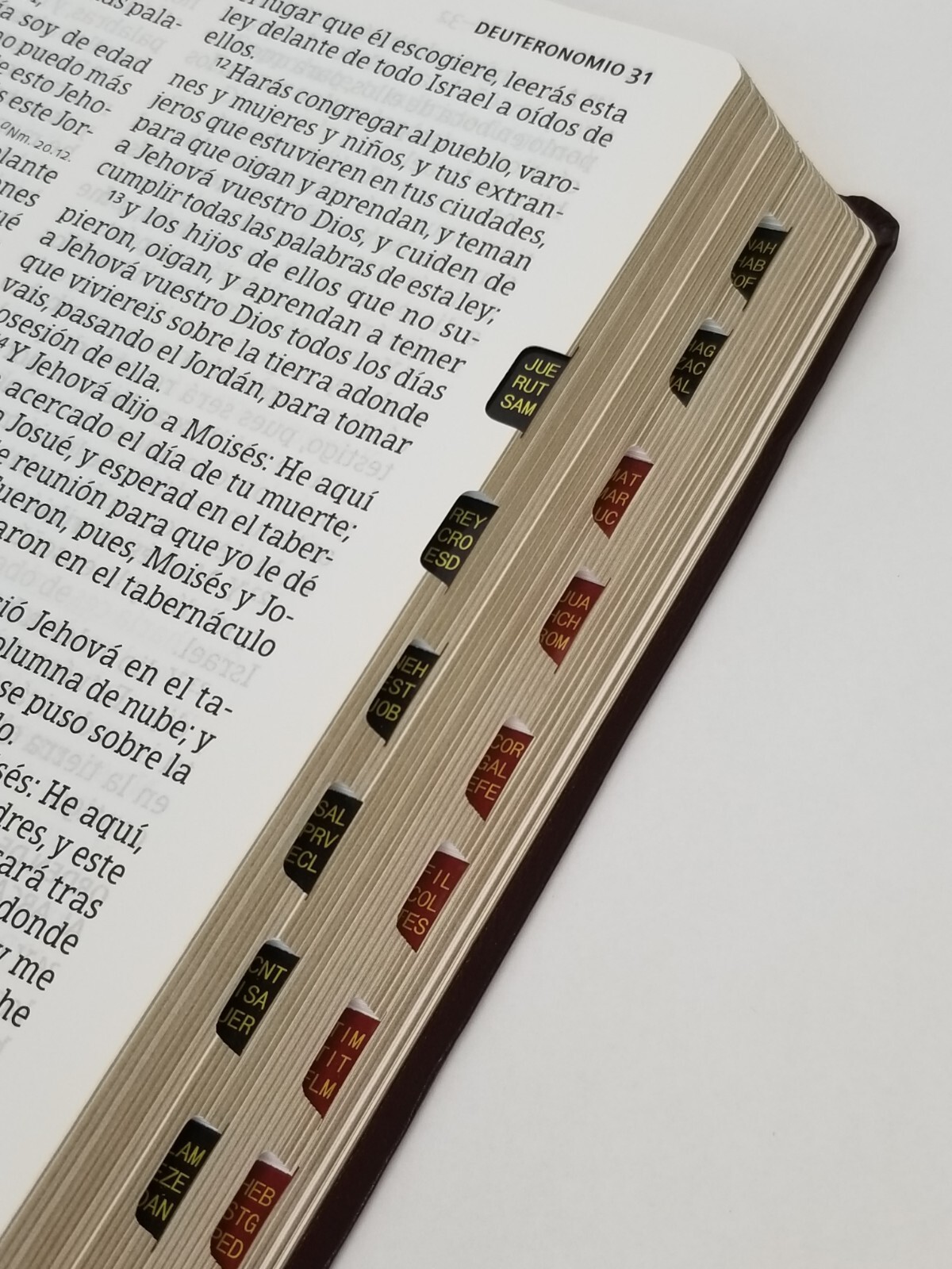 RVR 1960 Biblia Letra Gigante con Referencias, Borgoña Imitación Piel Con índice
