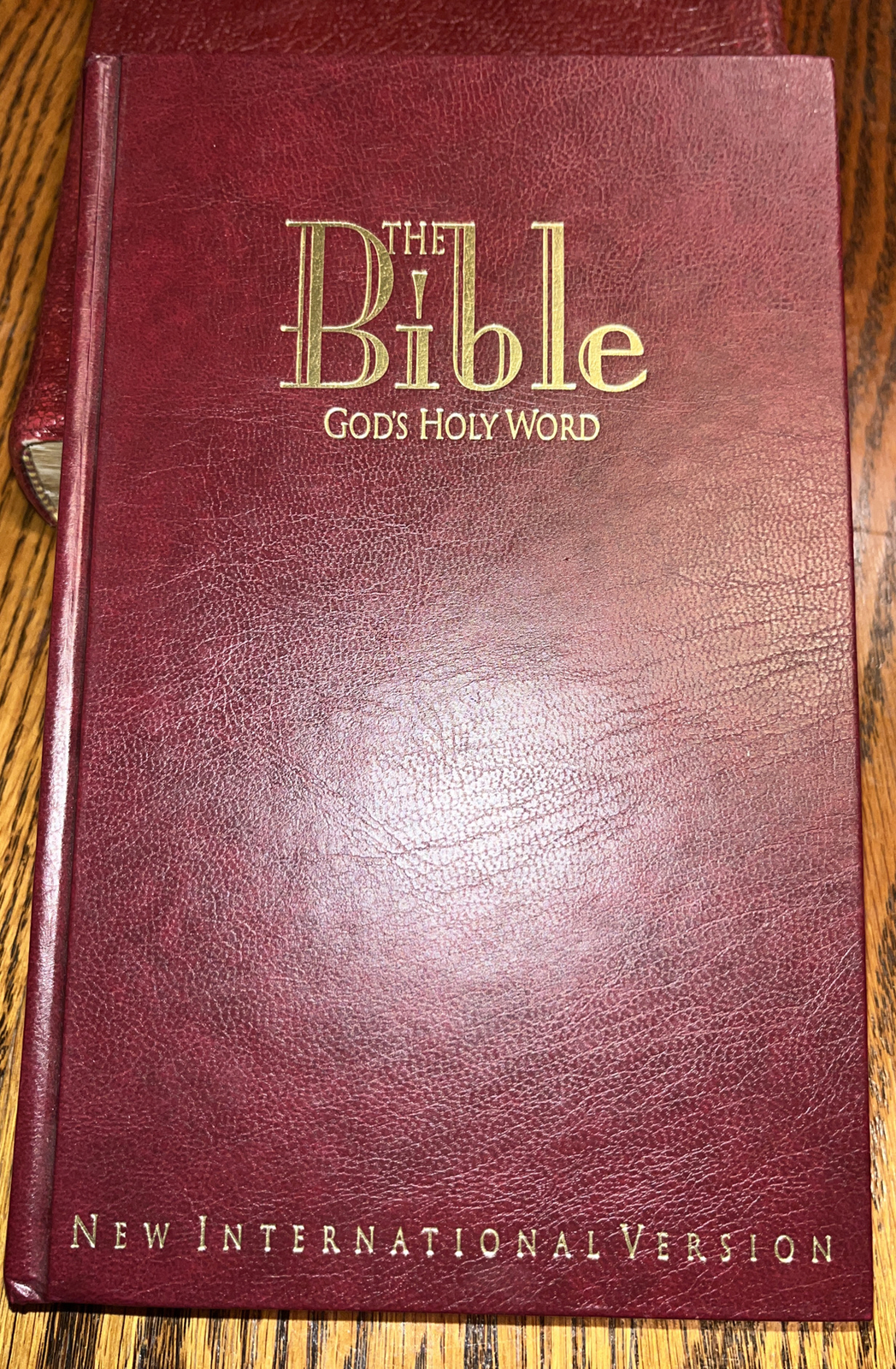 The Bible God’s Holy Word New International Version