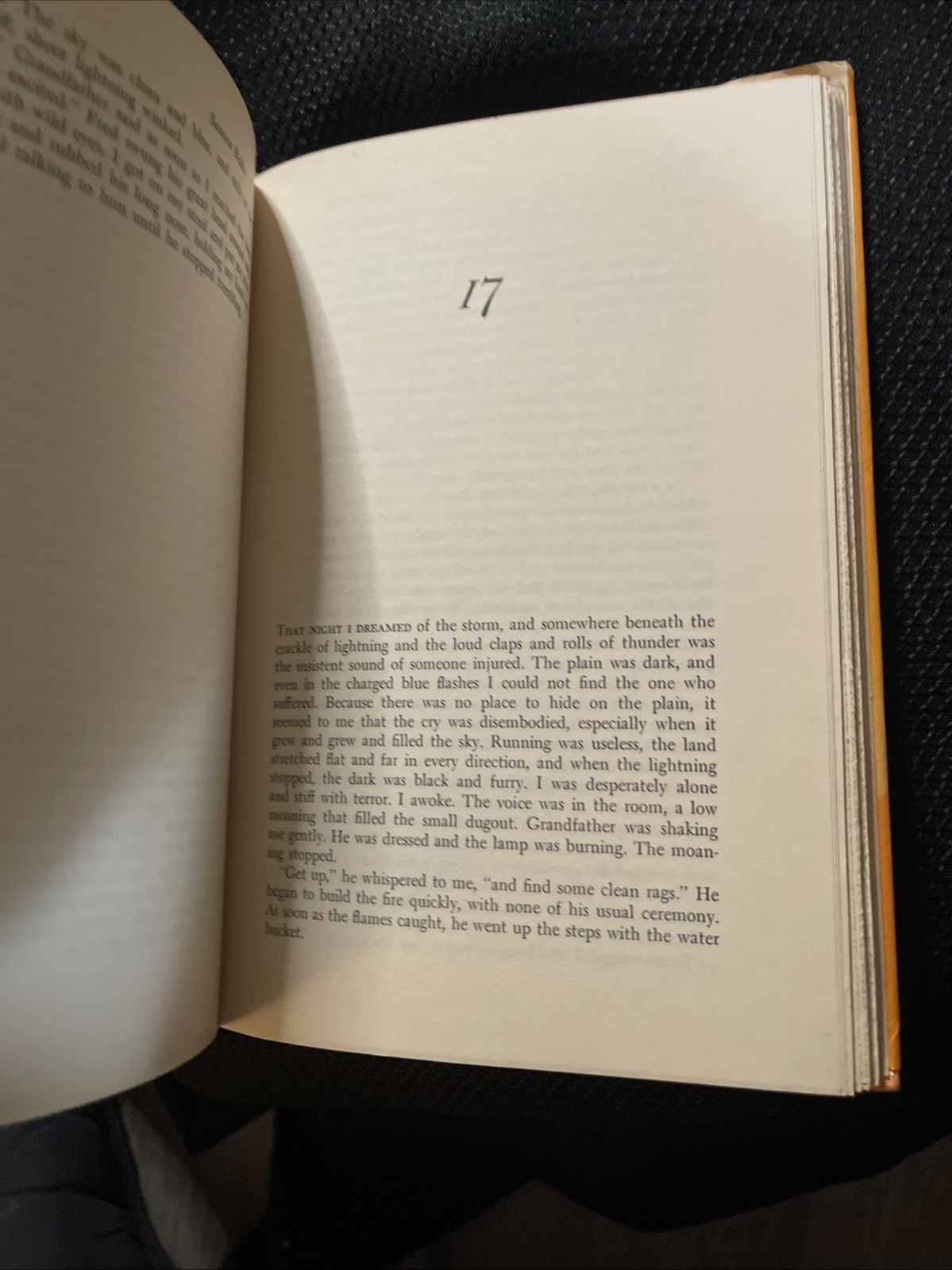 An Owl on Every Post By Sanora Babb RARE 1st Edition HC DJ 1970 Great Condition