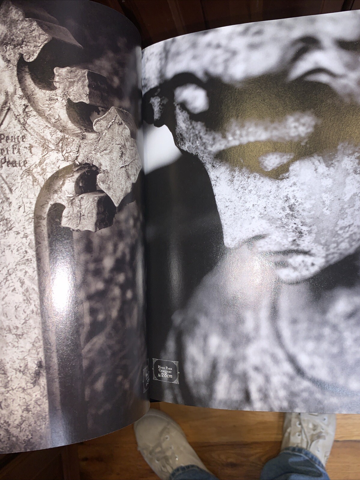 This is Gonna Hurt Picture Book PB by Nikki Sixx Music Photos Lifestyle Vivid