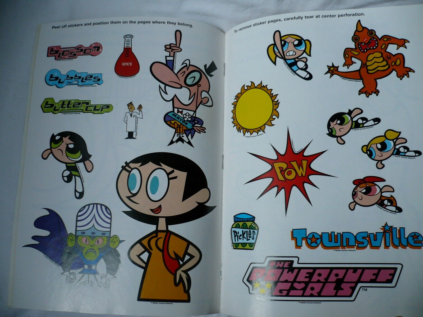 The Powerpuff Girls Coloring Book, 2000 Sugar, Spice & Everything Nice, 16 Pages