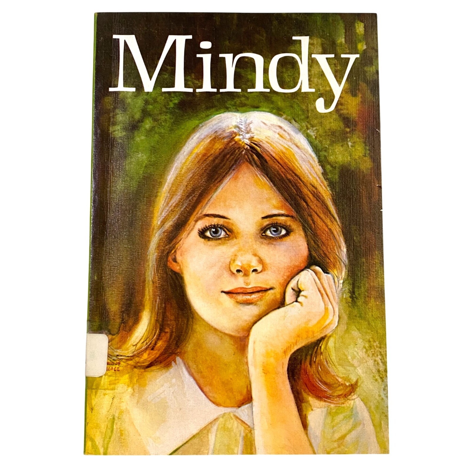 Mindy Vintage Paperback Dorothy Hamilton 1970s Divorce Growing Up Teen Girls