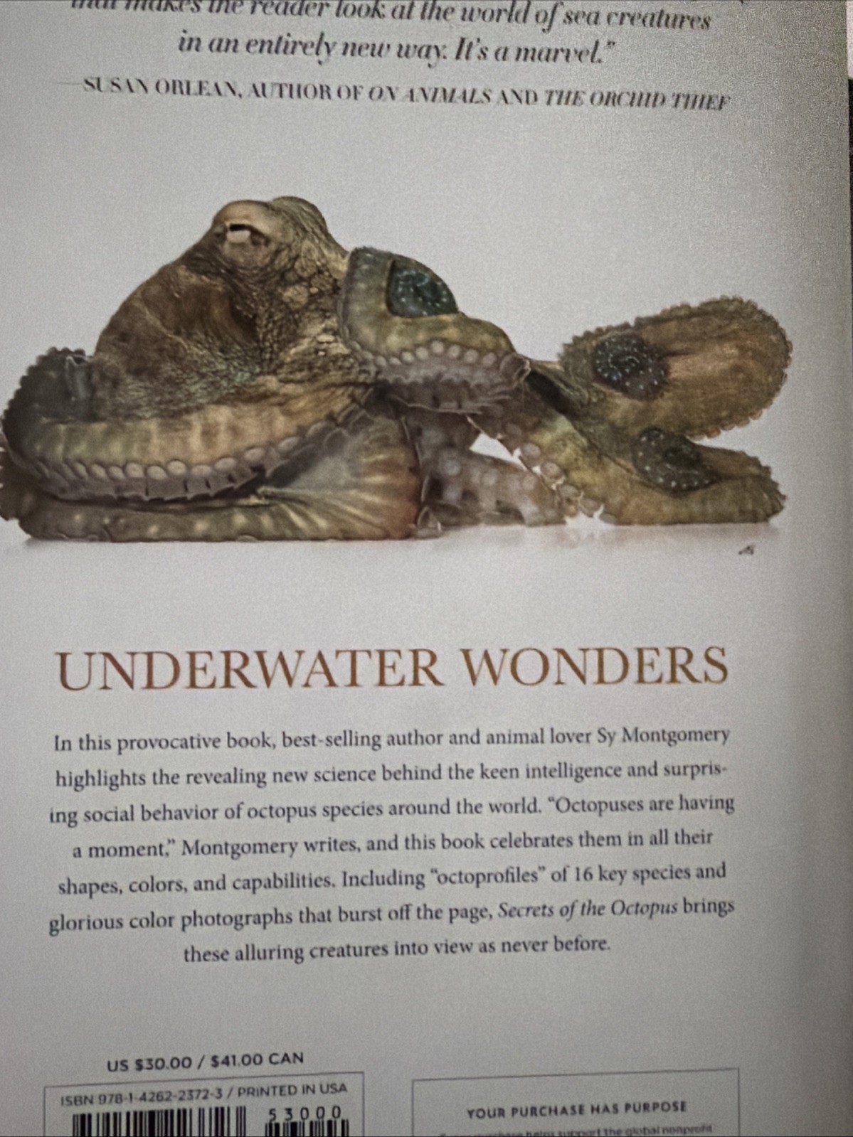 Secrets of the Octopus by Warren K. Carlyle IV and Sy Montgomery (2024,…