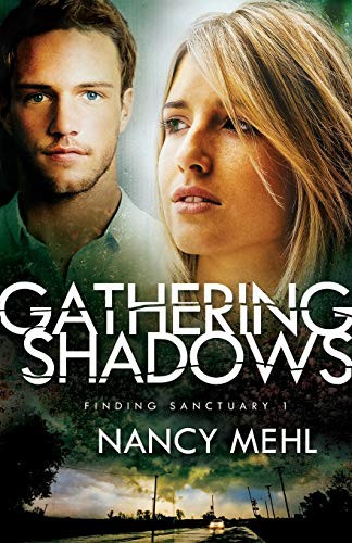 Finding Sanctuary Series All 3 Books in Paperback