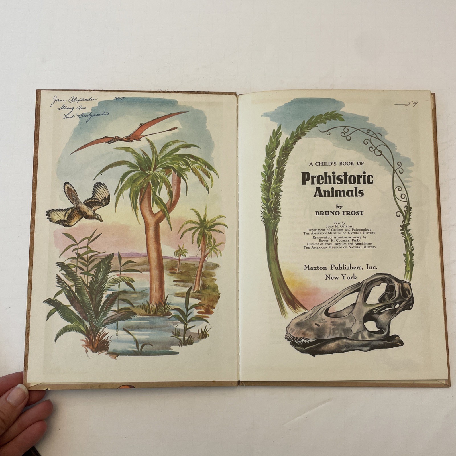 * Vintage Lot 6 A Child’s Book Of Stones Stars Animals Rovers Trees Sea Shells