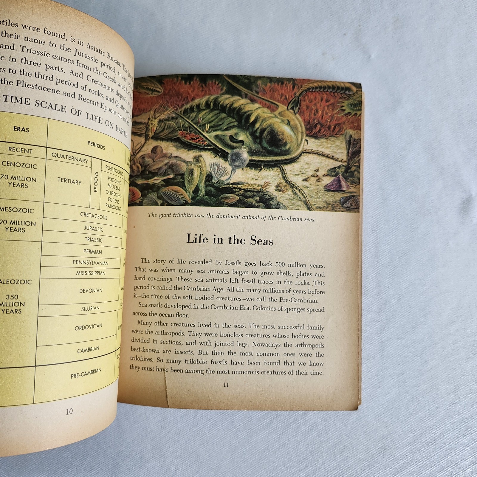 Golden Books Prehistoric Animals: Dinosaurs and Other Reptiles and Mammals 1958